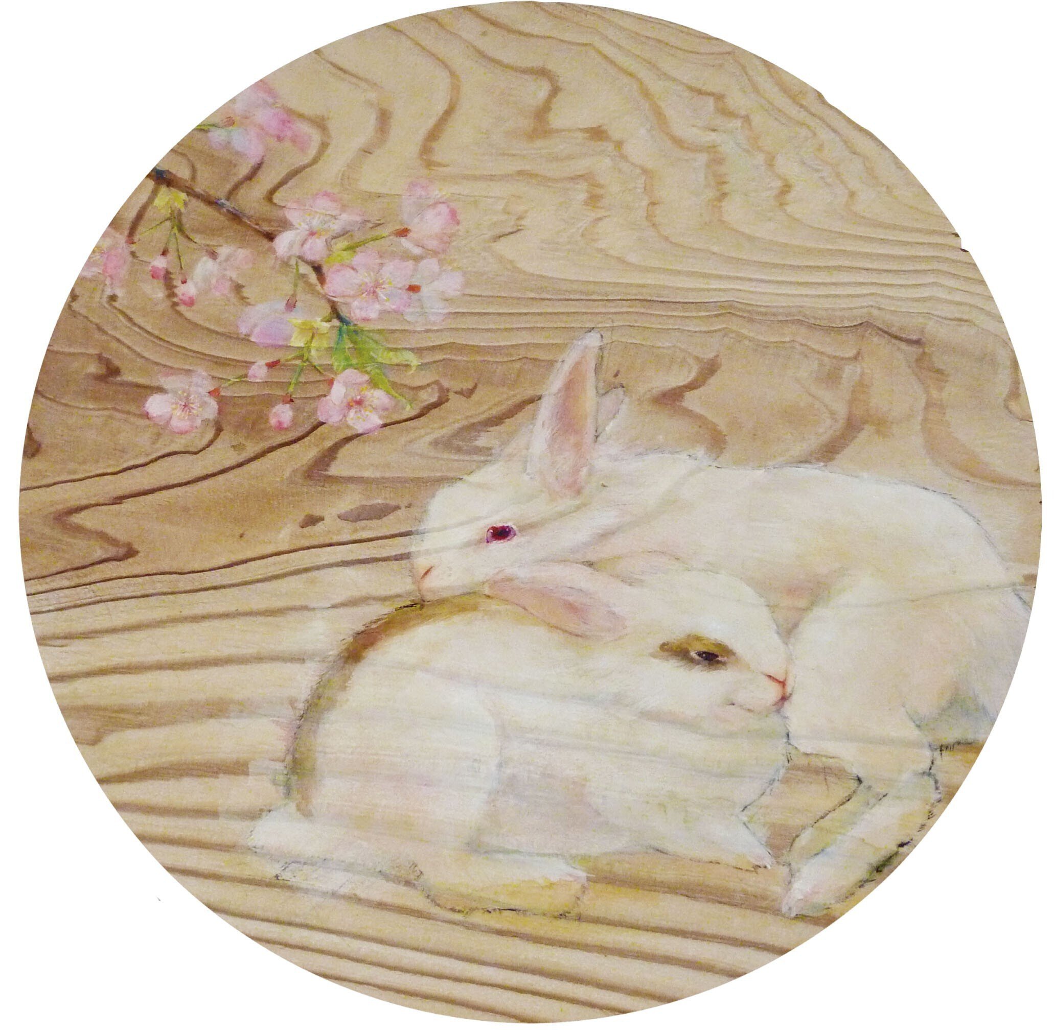 私の描くうさぎの話｜安松