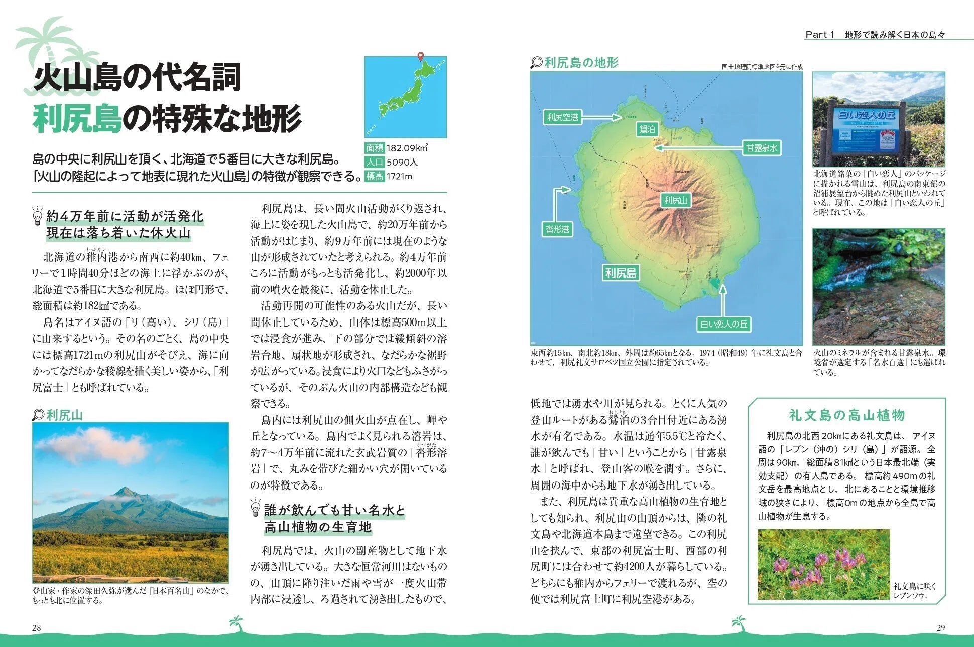 タイプ標本】デタニヒイロツマベニ♂標本☆ペレン島産 島の詳細地名