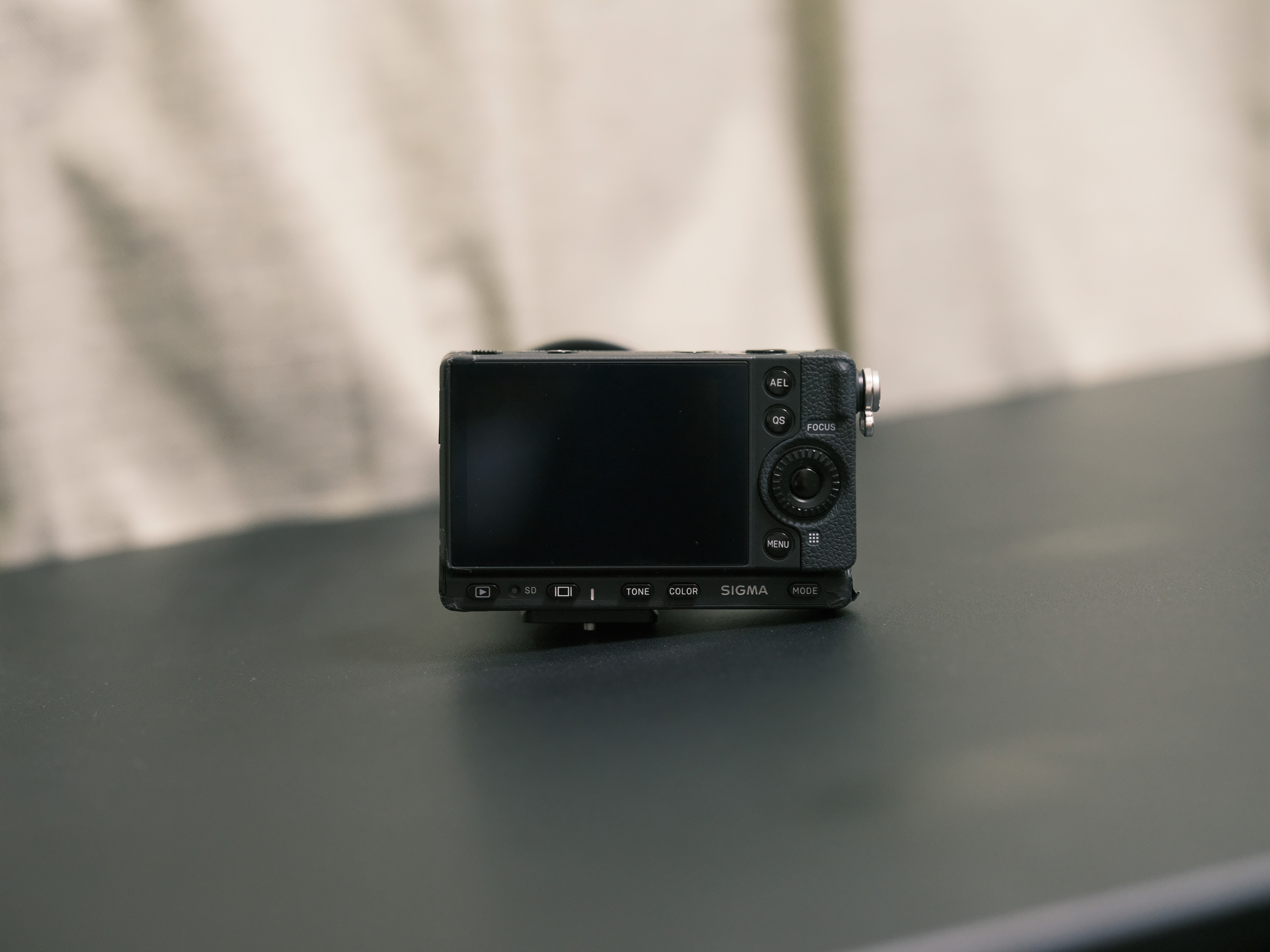 レビュー】デジタルカメラの新しいカタチ SIGMA fpを2020年から