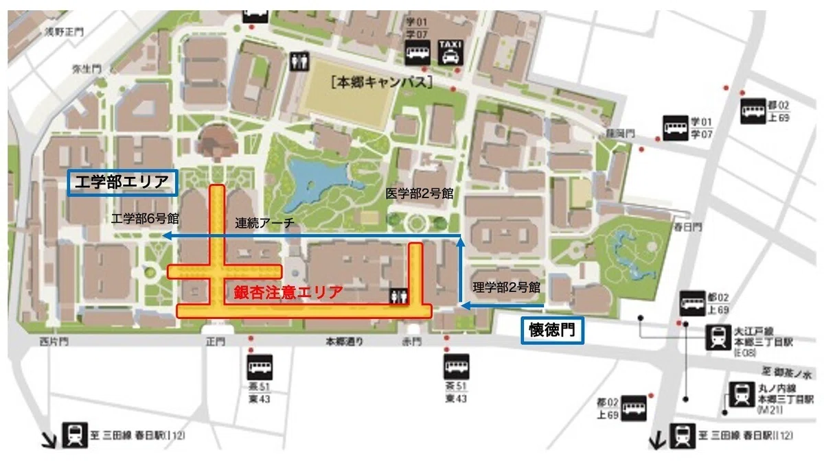 工学部生による東大本郷キャンパス巡り｜りここ