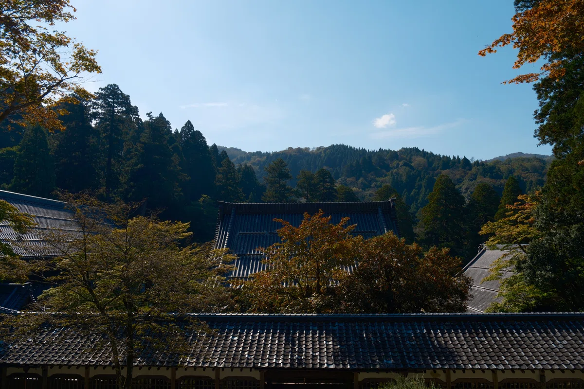 永平寺観光ガイド 七堂伽藍 ｜にしむら 