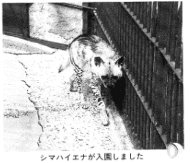 野毛山zooっといい話 飼育職員が語る動物たちのエピソード
