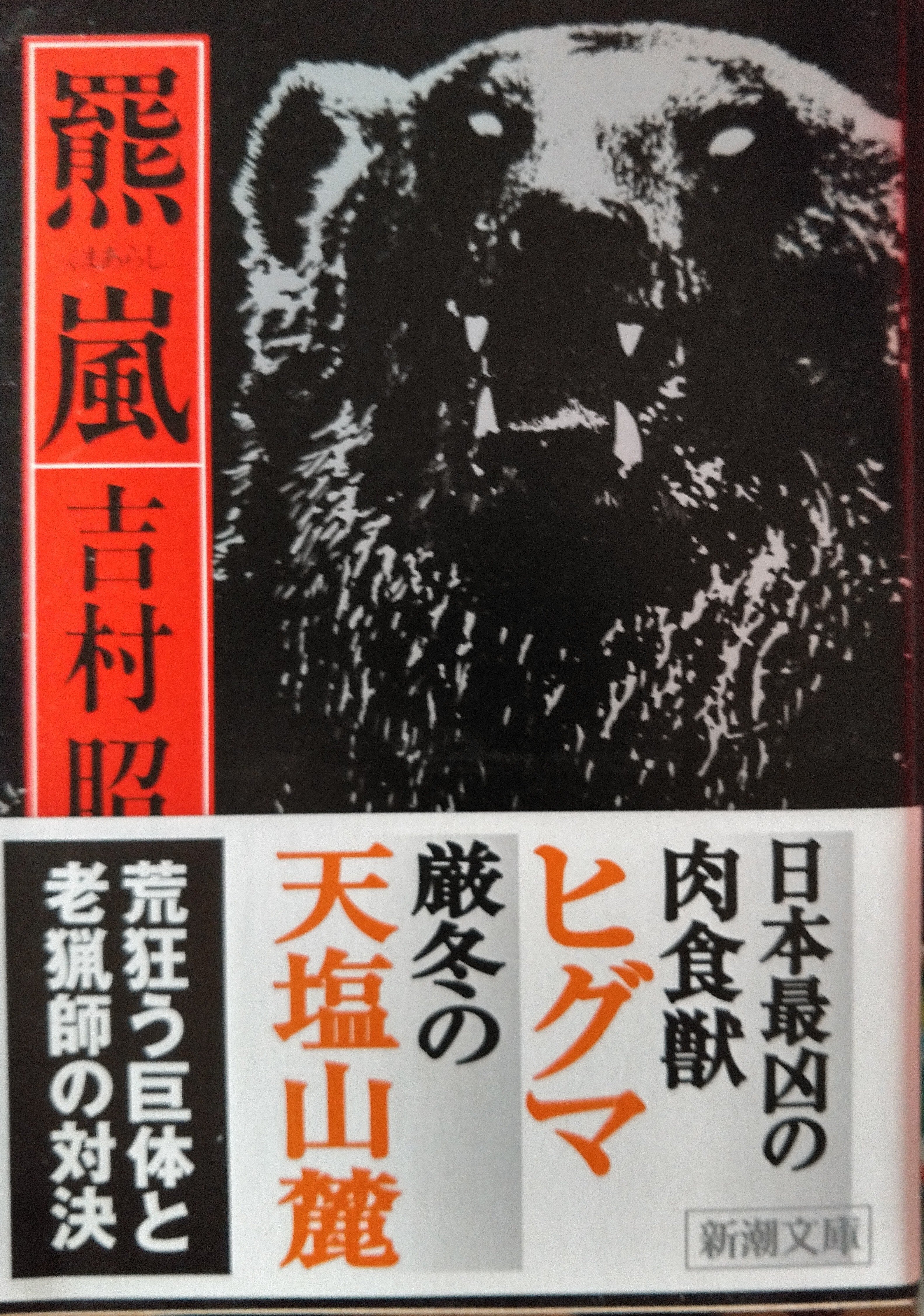 3つのくまさんの物語と、くまにまつわるよもやま話｜たけうち