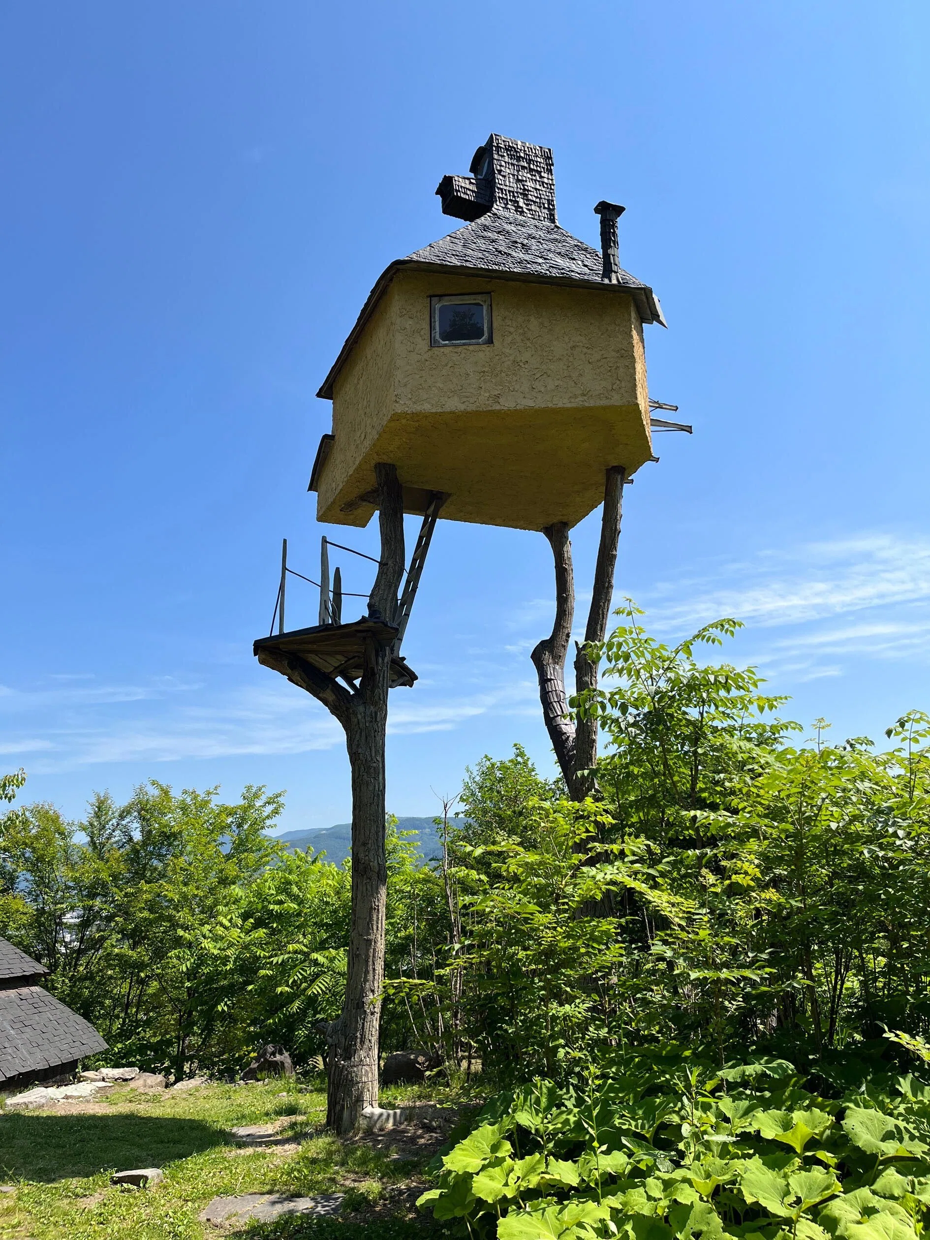 Architecture] Fly! Tea House (Terunobu Fujimori)｜Hiroshi Kawajiri