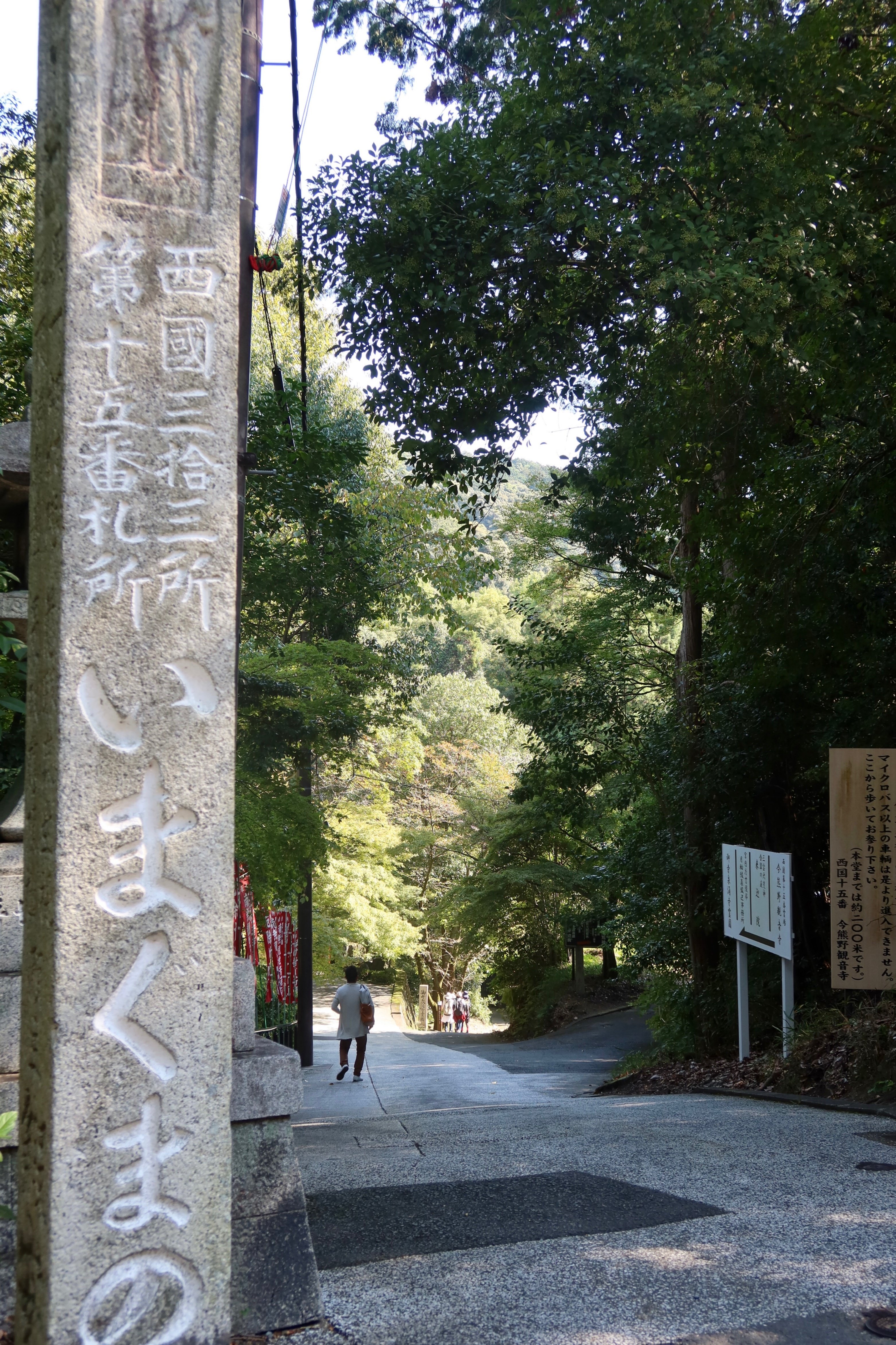 西国三十三所観音巡礼【新那智山 今熊野観音寺】 京都 ｜kumokichi