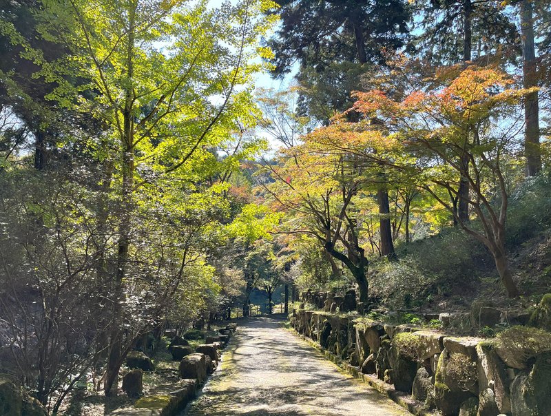 滋賀県石山寺参道の紅葉のグラデーションにうっとり