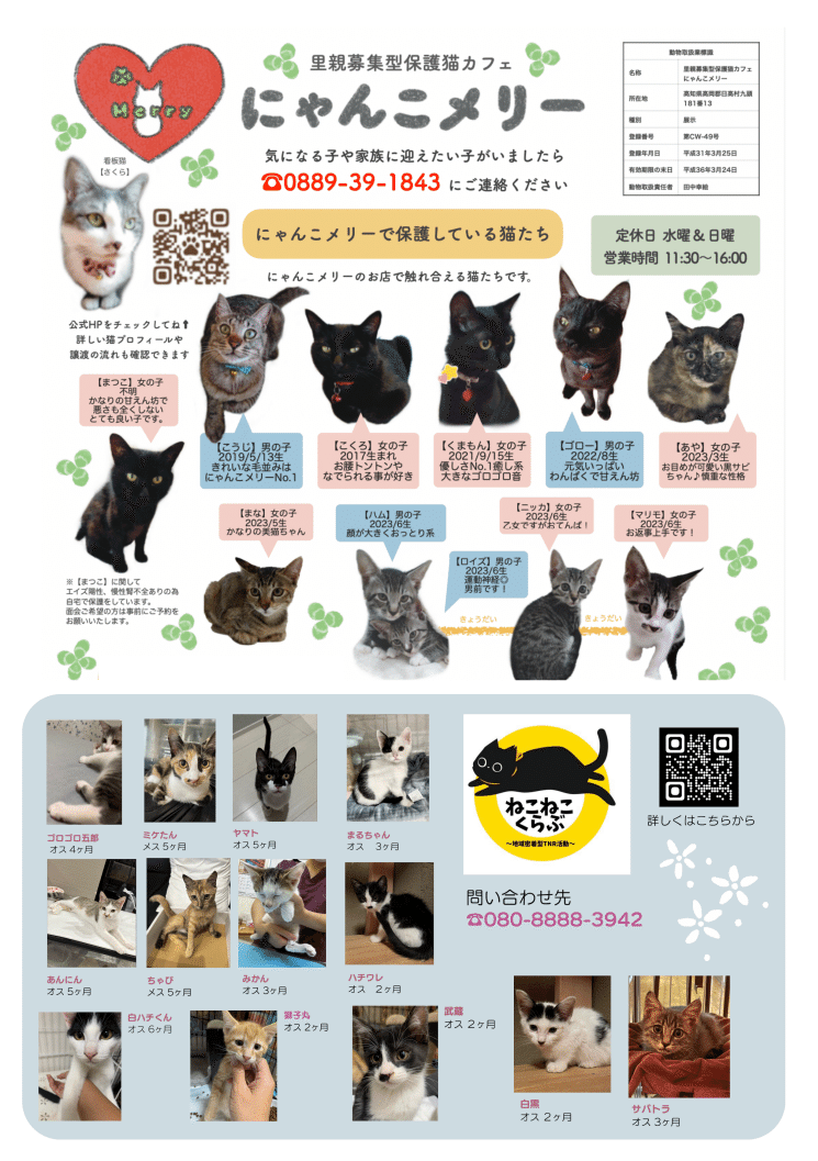 にゃんこメリーさん、むろと地域猫の会さん、ねこねこくらぶさん
