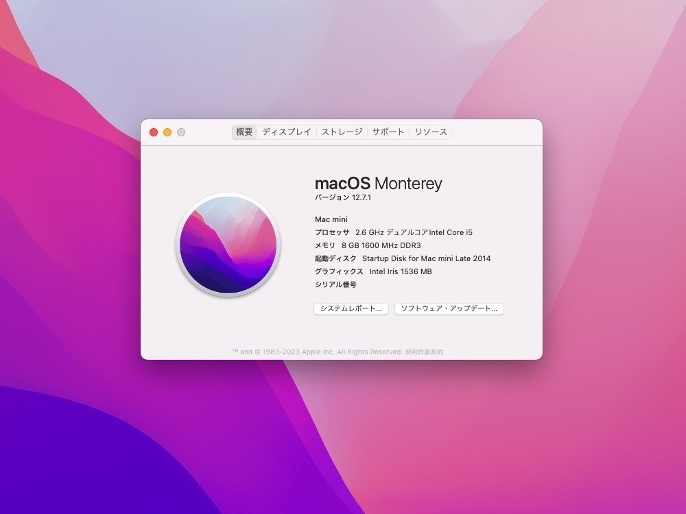 Extra Issue: 外付け SSD で Mac mini Late 2014 を快速化