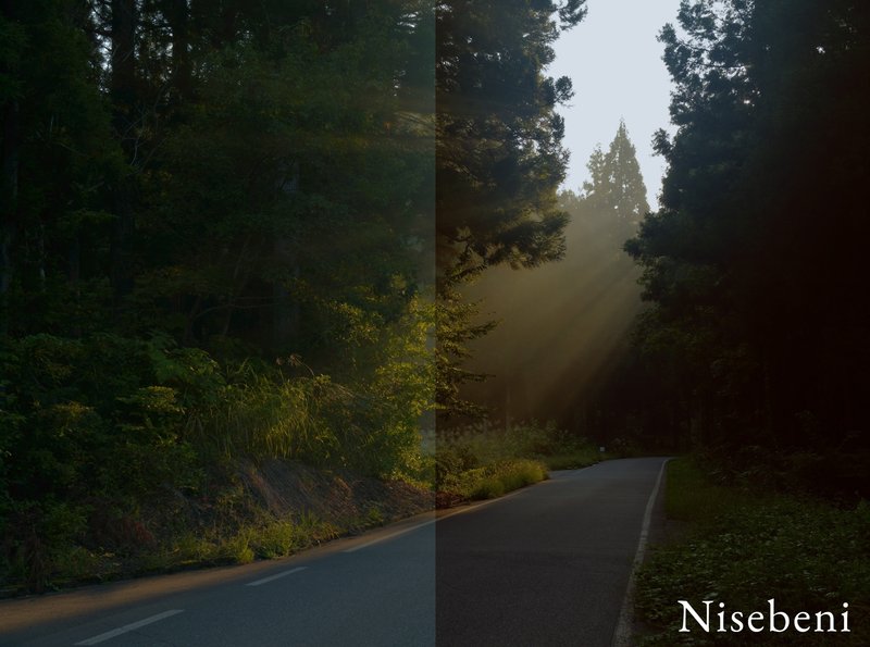 【LUT無償配布】LUMIX Color Lab更新！SNSで活躍する5名のクリエイターLUT公開！｜LUMIX Magazine