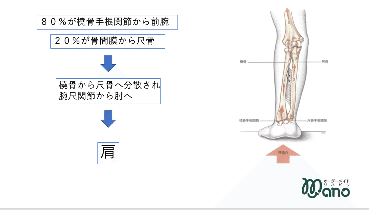 片麻痺患者の上肢機能 2023.11.1（水）20：30〜｜株）オーダー  