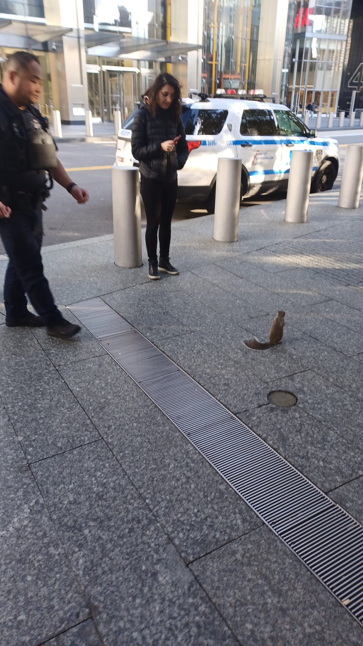 女一人でニューヨーク＆ワシントンDC ６泊８日 旅の記録（2023.10）｜ちけぽん