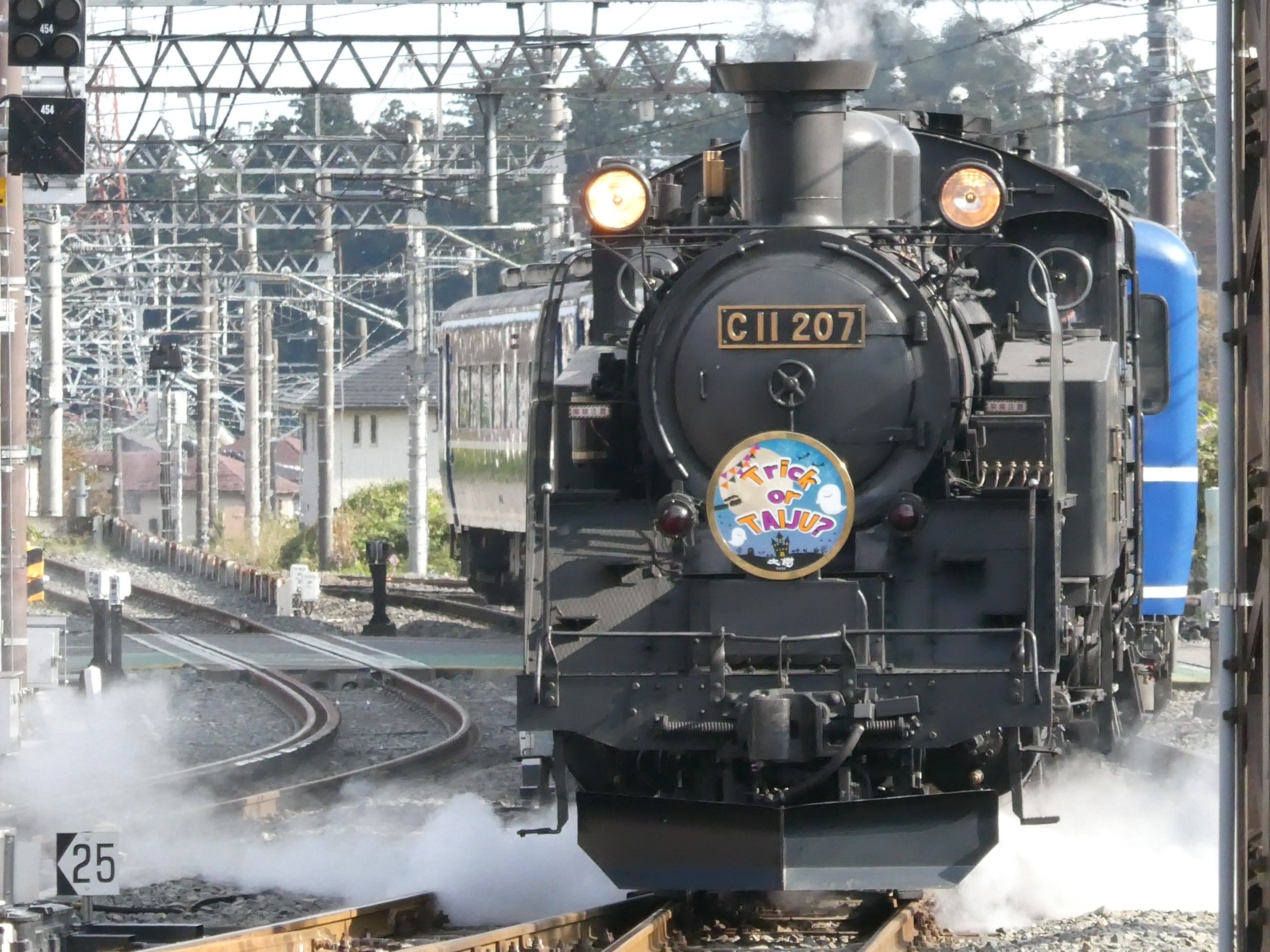 自称″プチ撮り鉄″のプチ旅行記】「SL大樹」と「スペーシアX」の日帰り