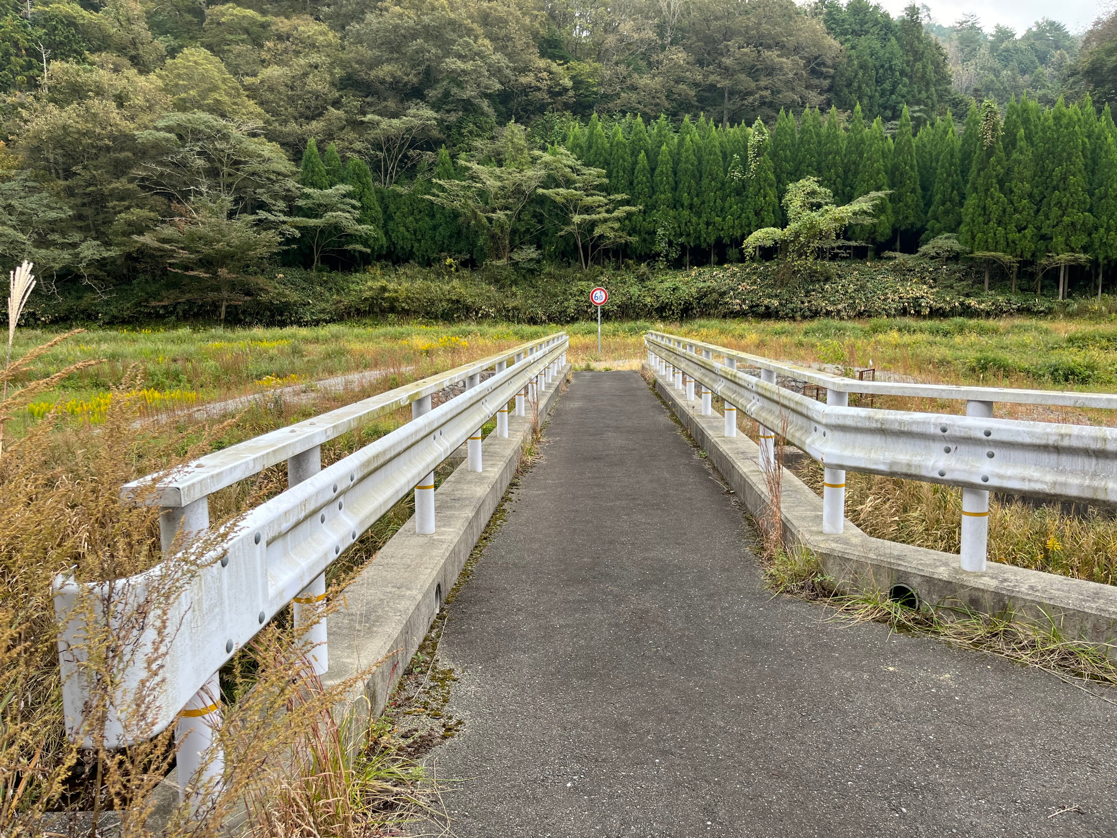 【山口】 #2282A 旧日本軍 勲章 略綬 襟章 おまとめ 7連吊りホルダー付き 現状