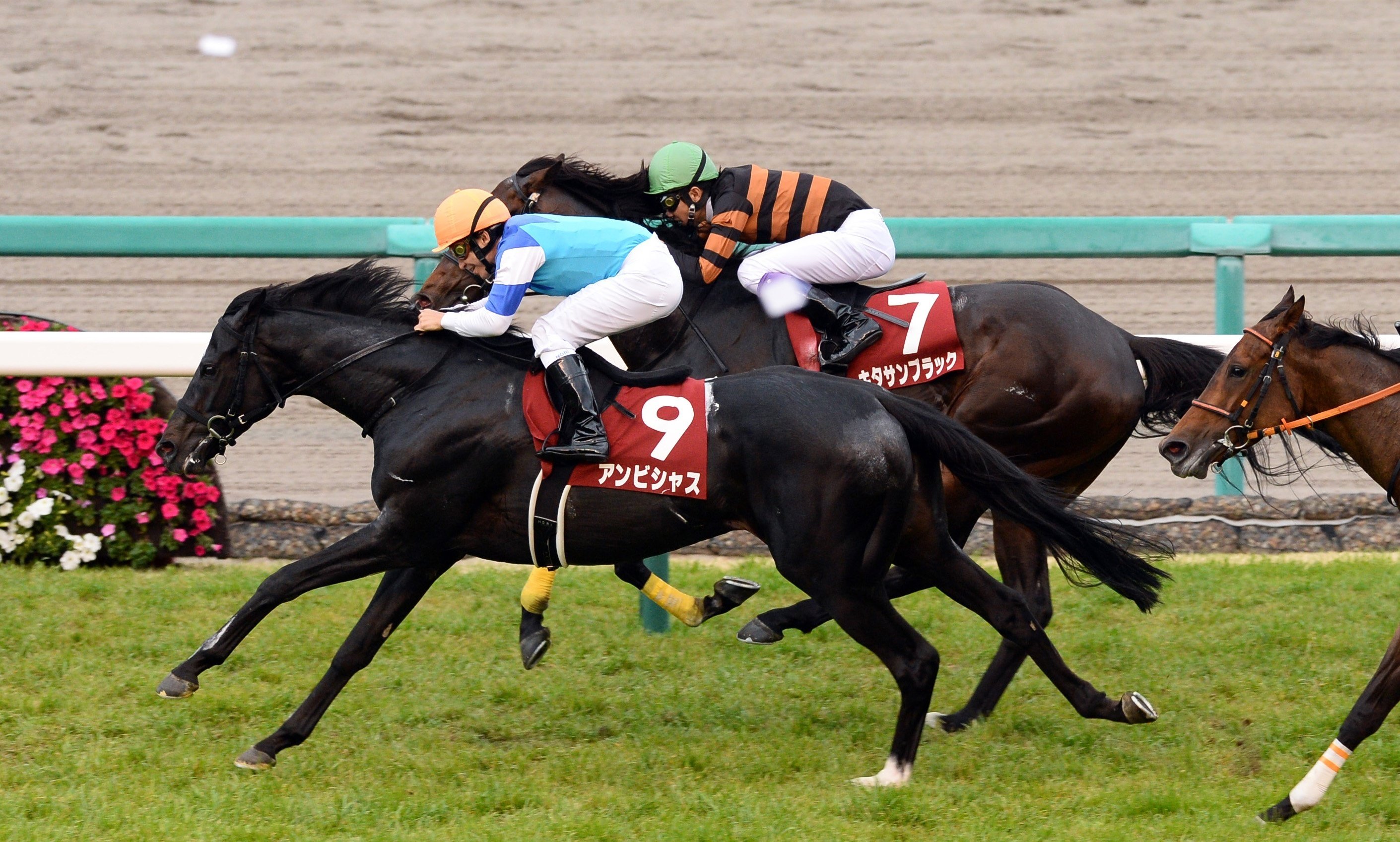あのエンディングの史実は？アニメ「ウマ娘」を「東スポ」でおさらい