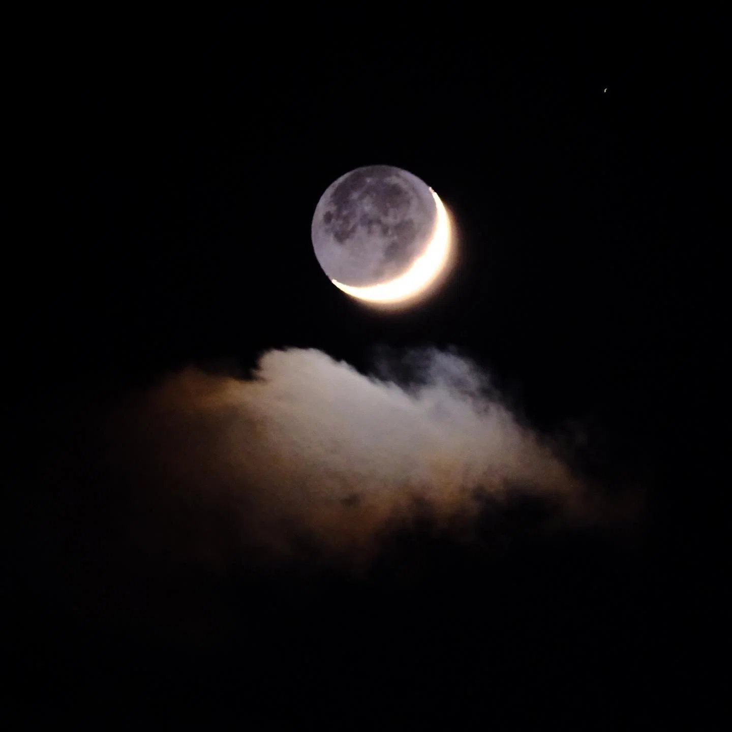 星月夜｜歩きまわる写真館・ひらい