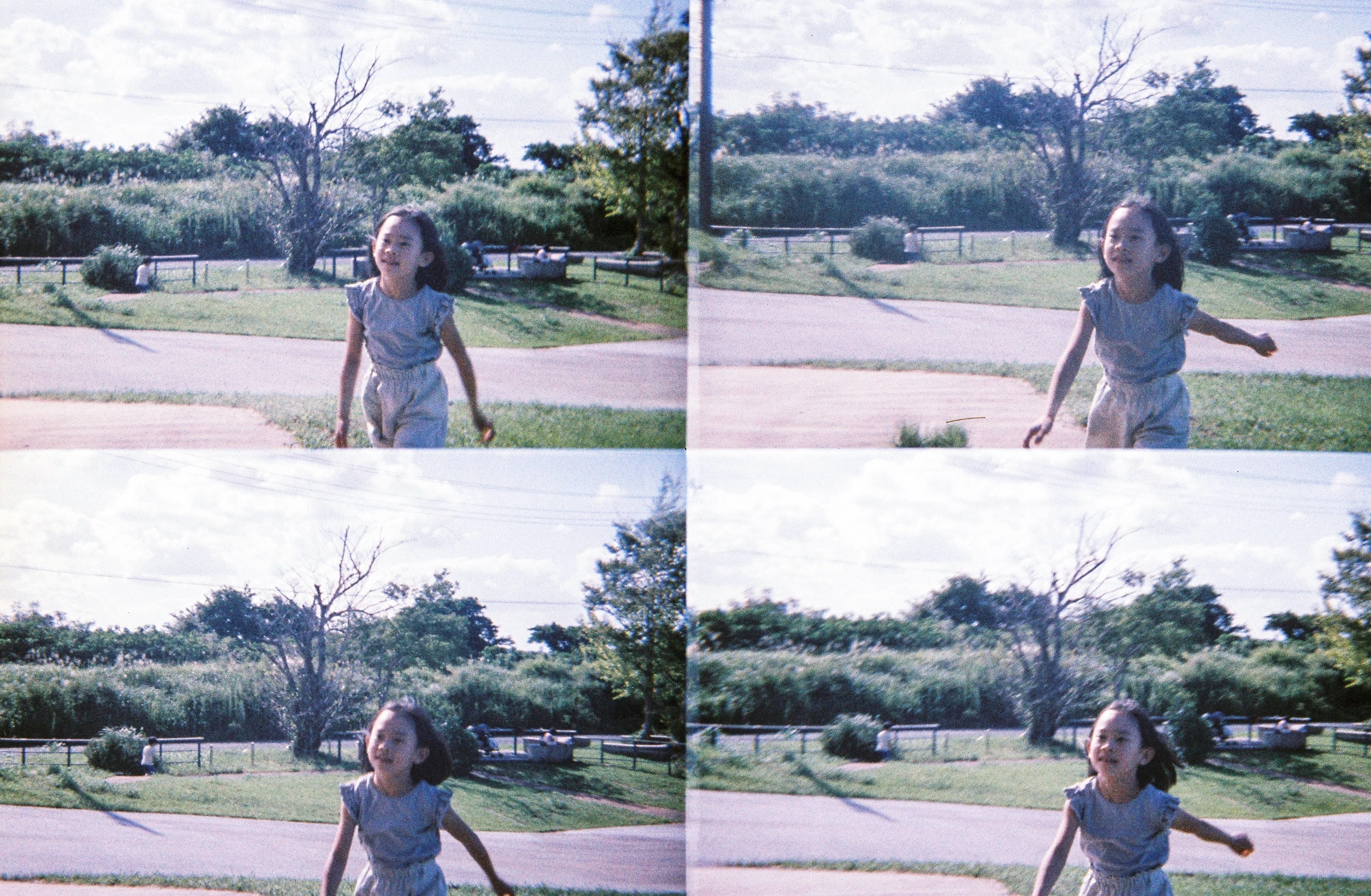 LomographyJapanインタビュー：Diana Mini /ActionSampler｜ちーぼー