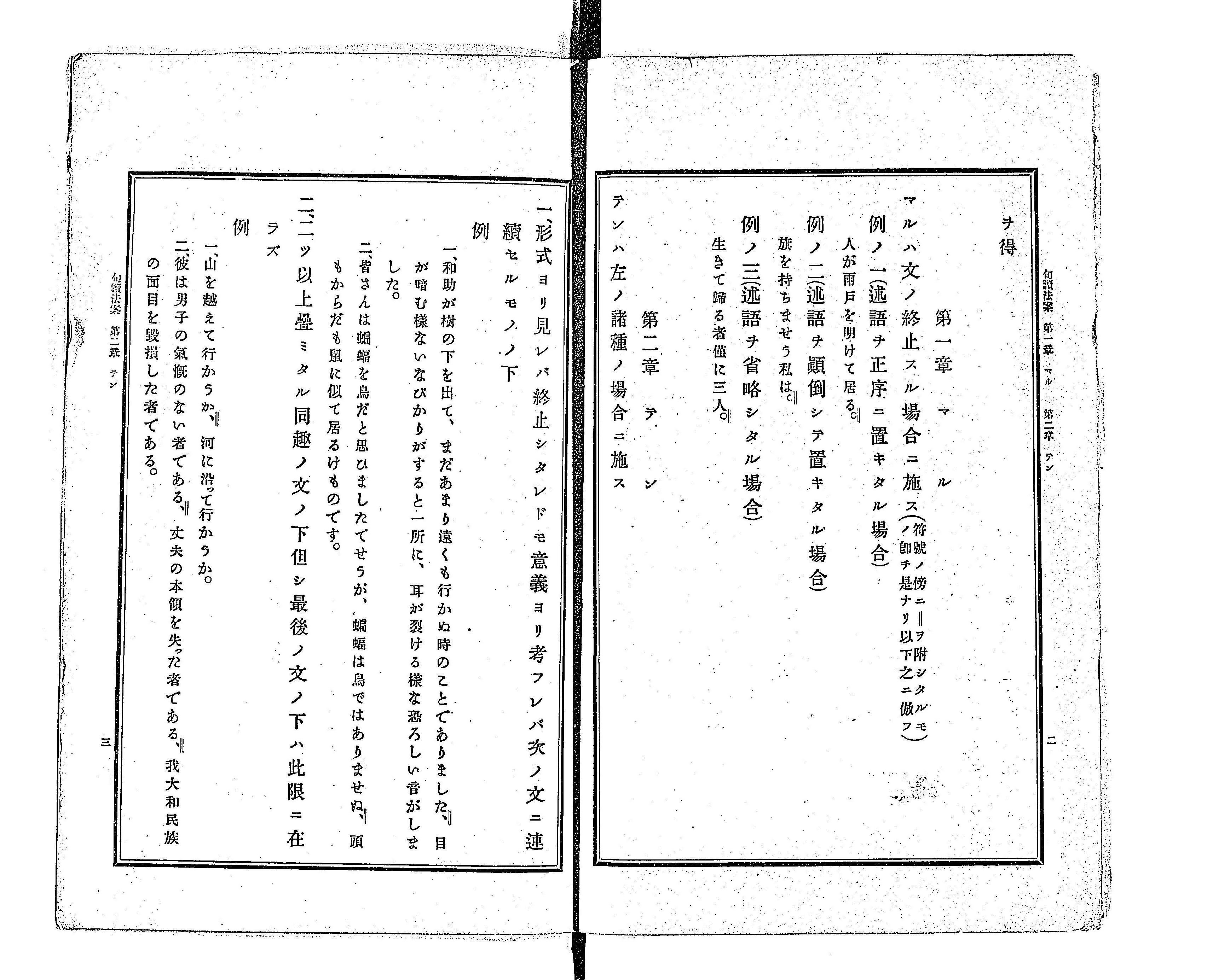 ホワイトこうもり様 薄 ご予約商品 ホワイトこうもり様 薄 ご予約商品