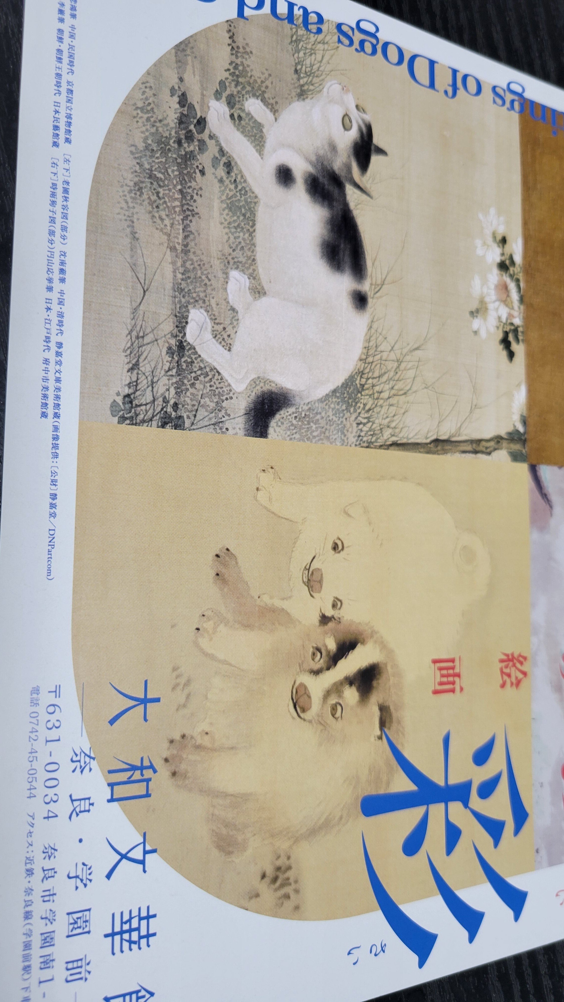 奈良・大和文華館「いぬねこ彩彩」東アジアの犬と猫の絵画｜藤井靜子