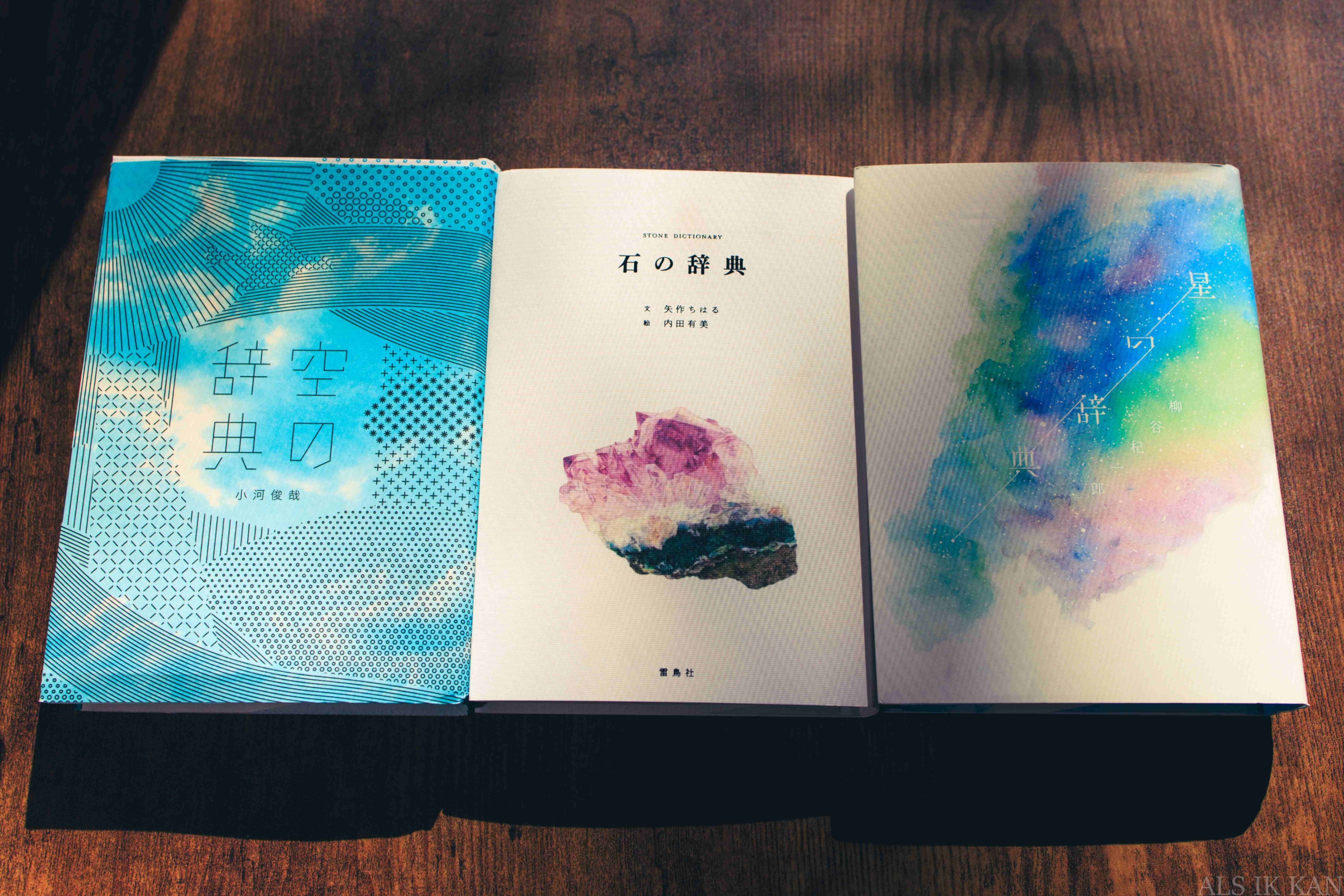 言葉の大海原を渡る【辞典の世界】｜メダカちゃん