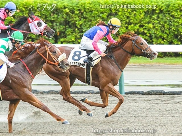 集計してみた（丹羽崇彰）／週刊トレセン通信｜競馬ブック