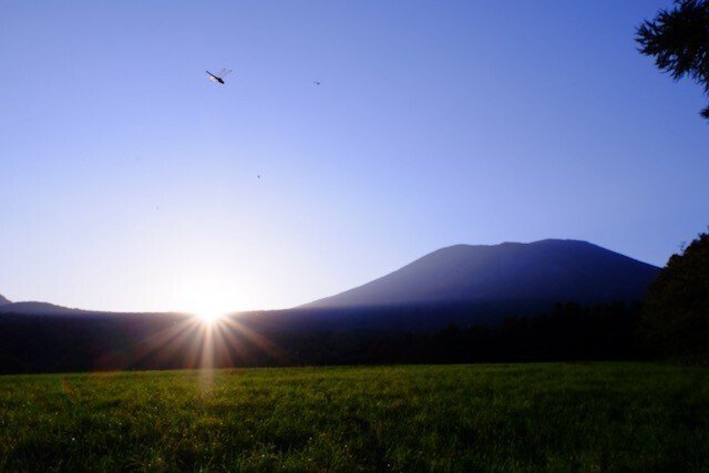 トンボとか山とか秋の写真｜歩きまわる写真館・ひらい