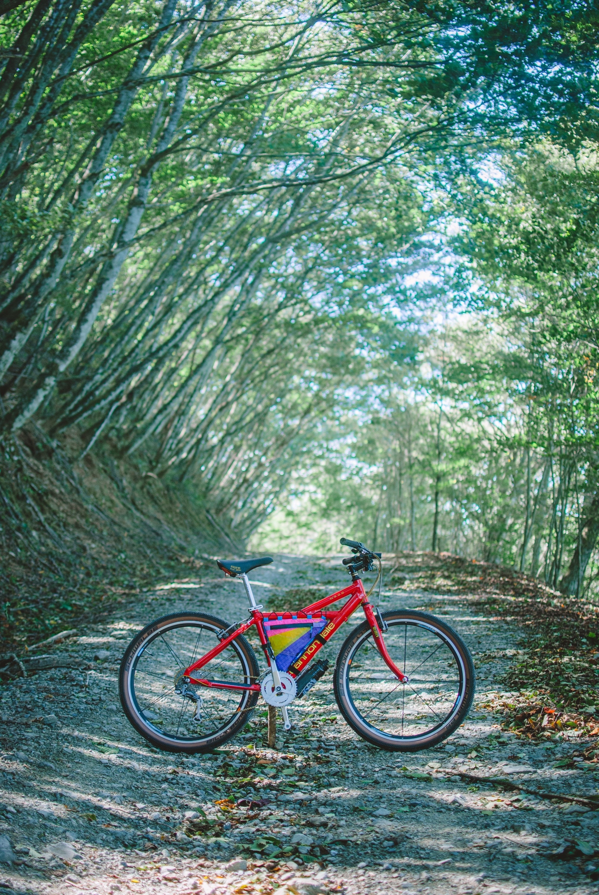Old MTBで行く。関東一の長距離林道 「御荷鉾スーパー林道」 後編｜Polak