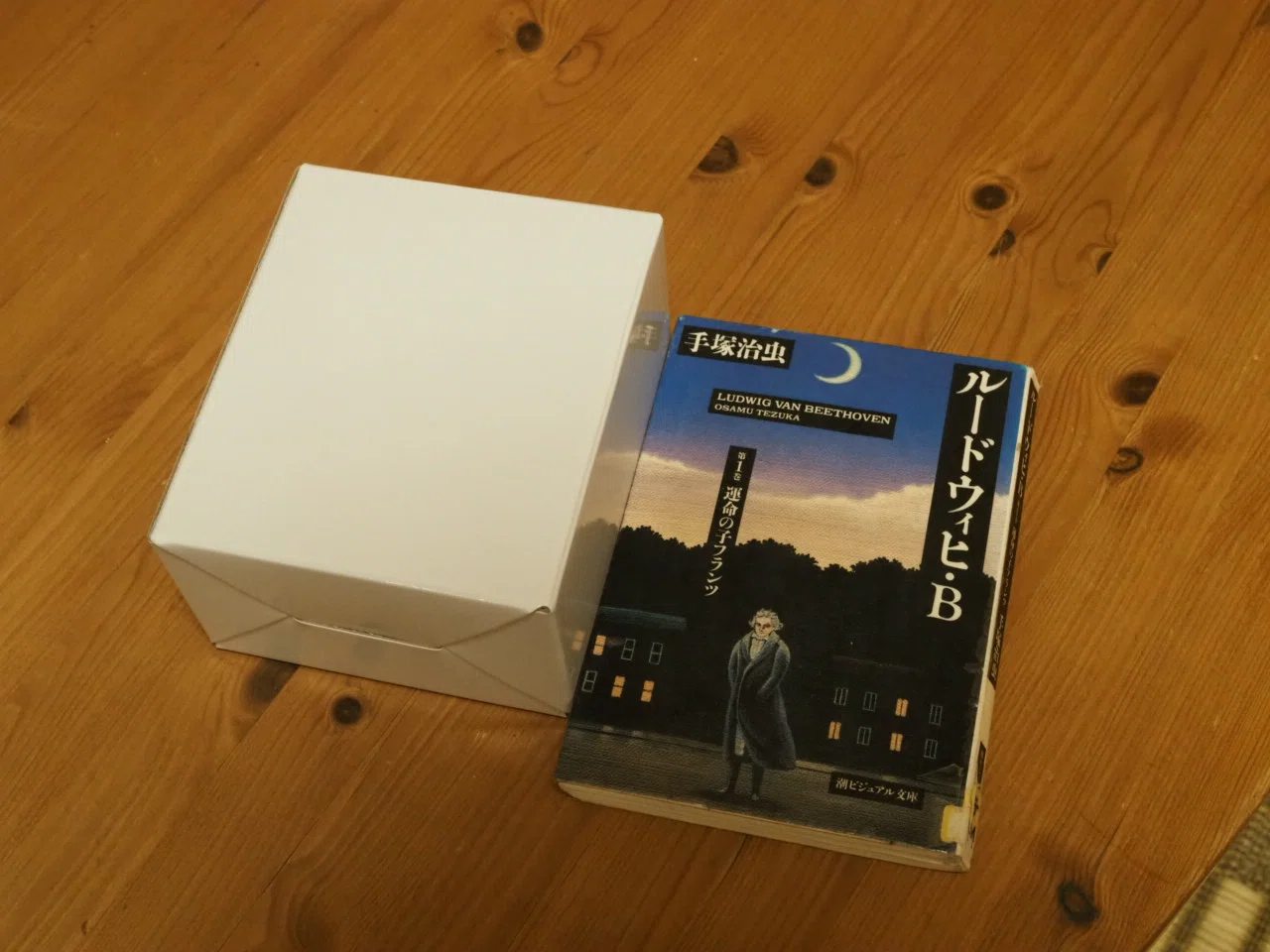 双眼鏡 ヒノデ 6x21－U1届いた。｜こんとん