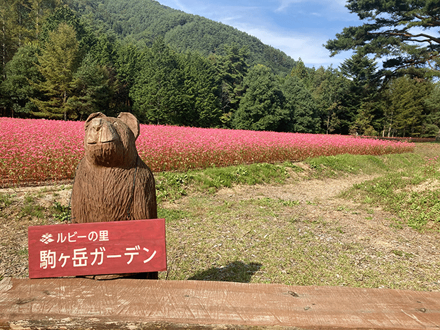ルビーの里　駒ヶ岳ガーデン （長野県上伊那郡宮田村）