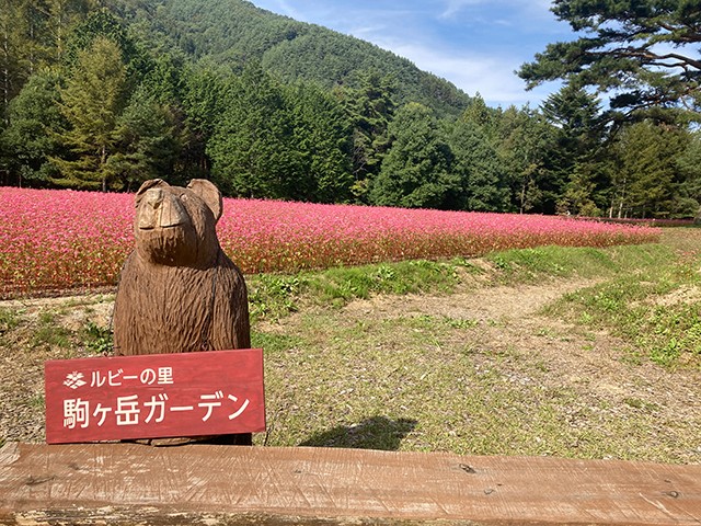 ルビーの里 駒ヶ岳ガーデン (長野県上伊那郡宮田村)