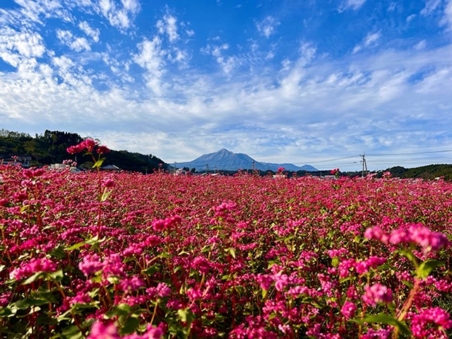 都城市山田町 (宮崎県都城市)