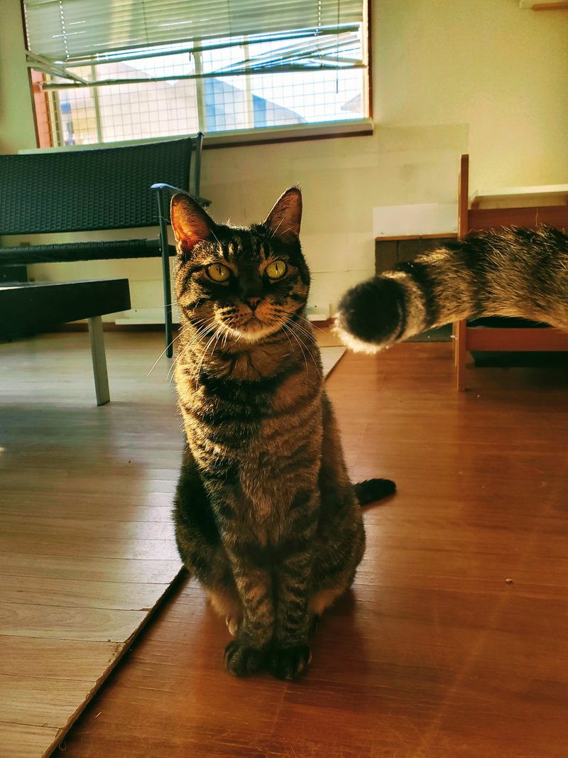 雨は毛布のように｜一人キリン