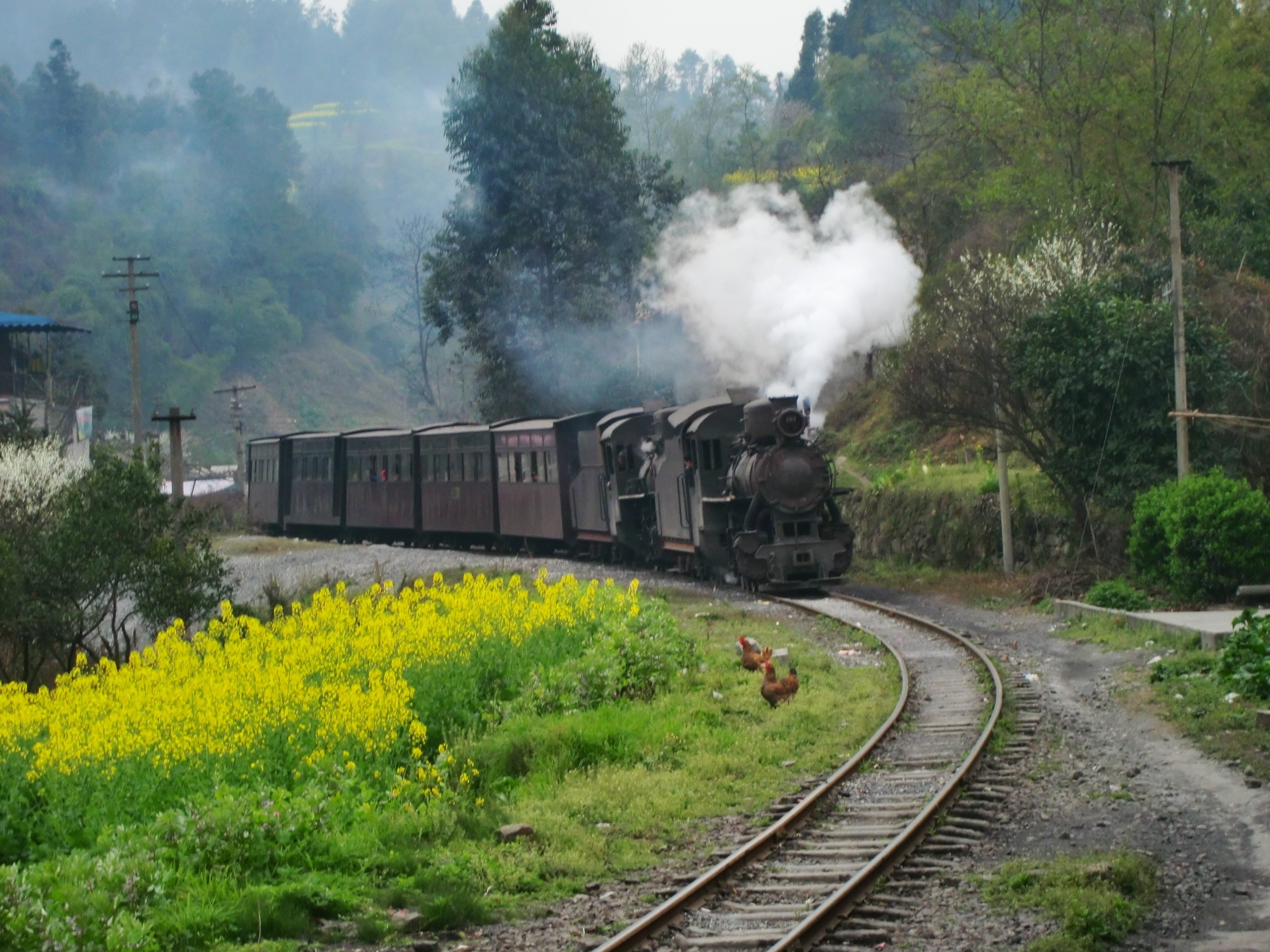 鉄道の旅 中国・四国 鉄道の旅 中国・四国