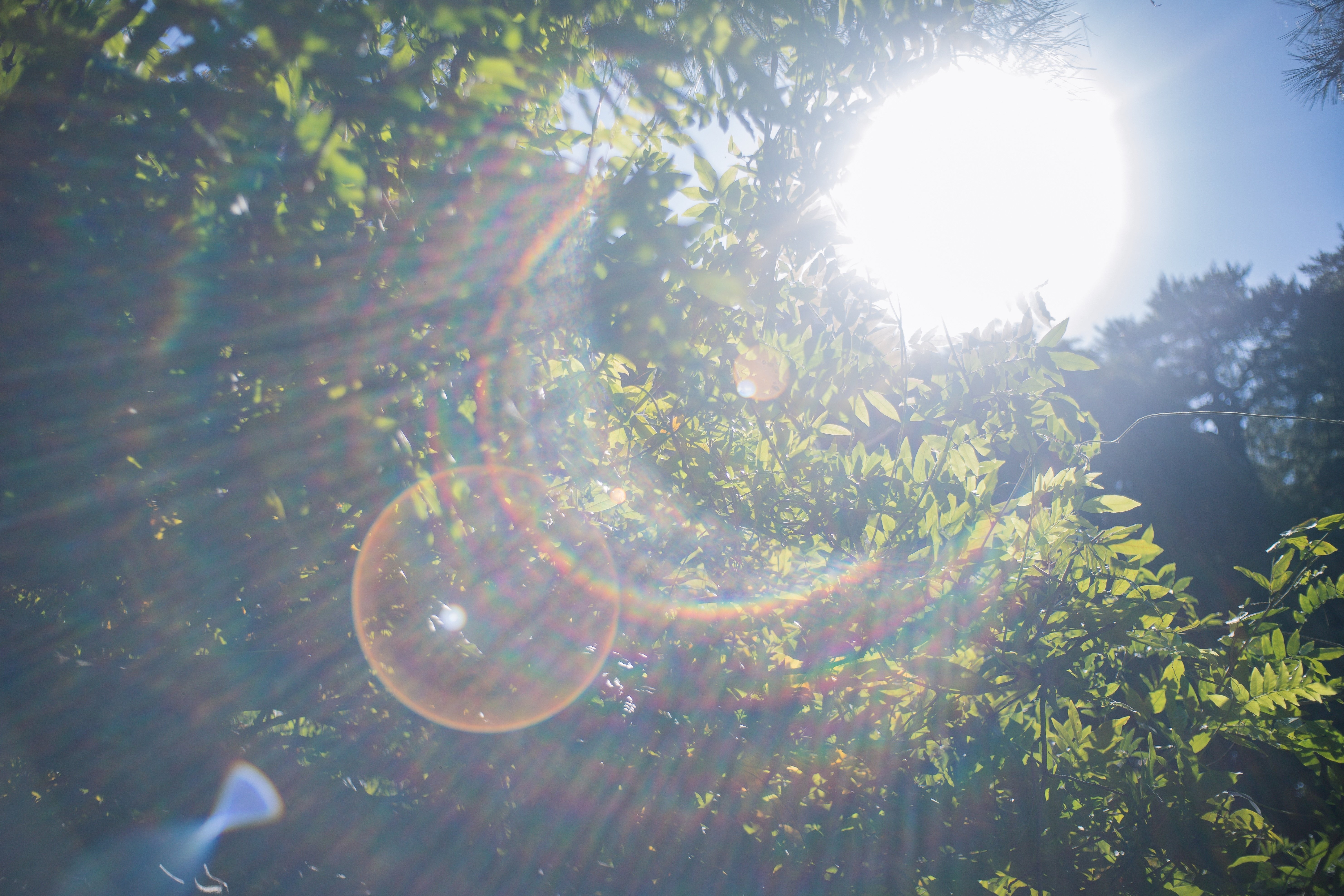 レンズ沼】謎レンズ：AUTO REVUENON 35mm f2.8に遭遇｜もんぶらん