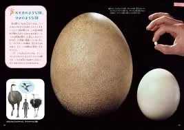 第2743回 同じ仲間でこんなに違う｜翆野 大地