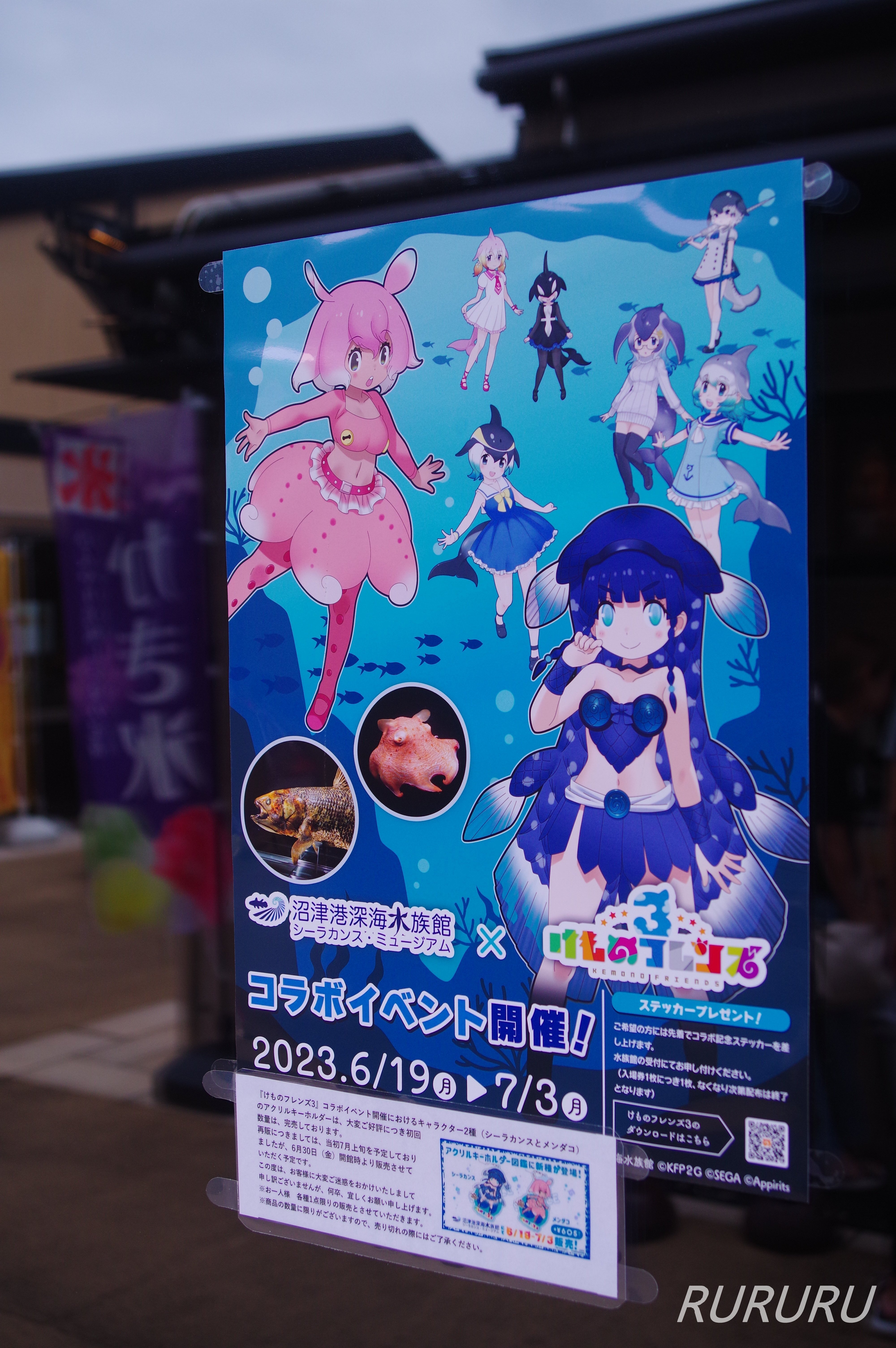 けものフレンズ 沼津深海水族館 めんだこ シーラカンス アクリル