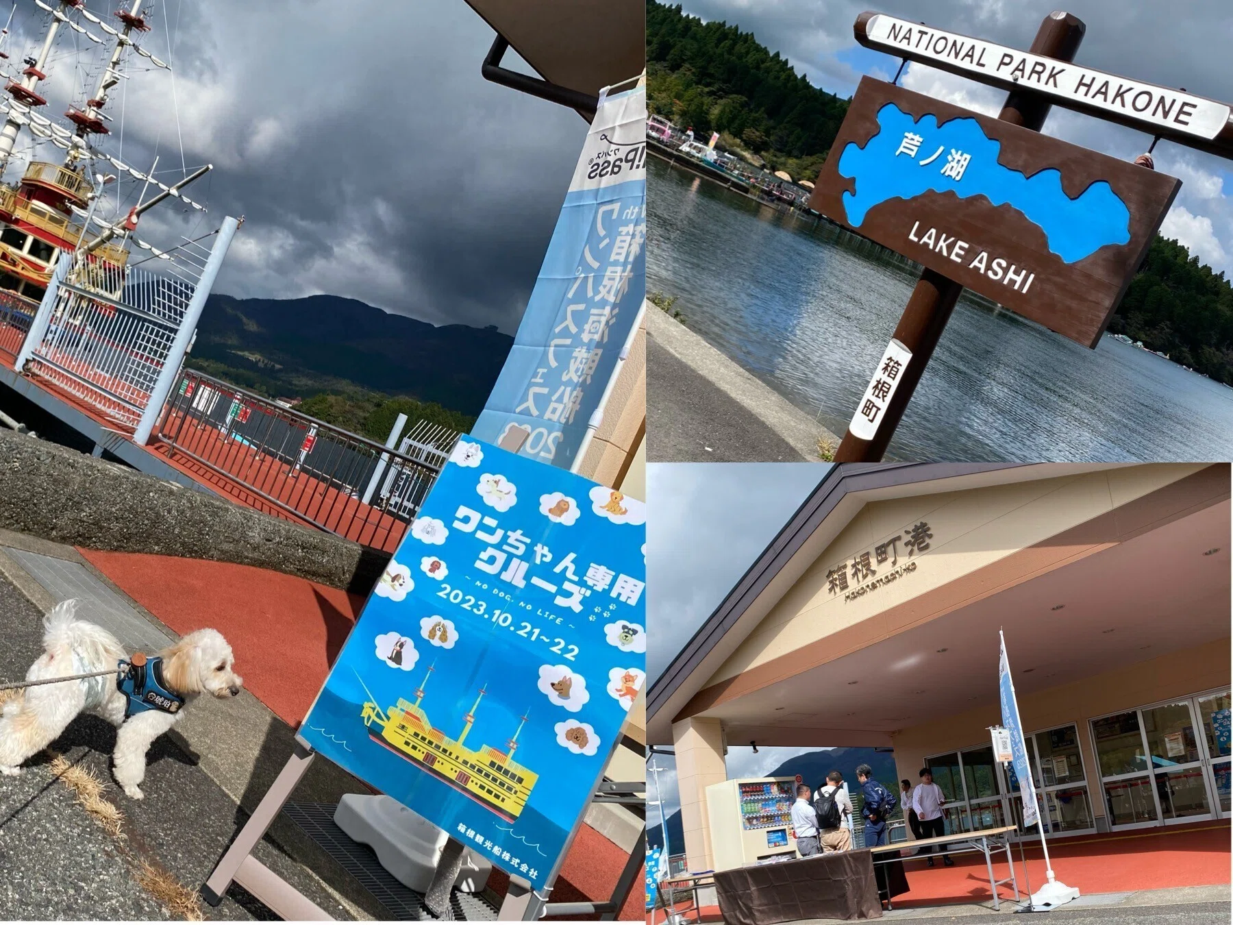 芦ノ湖航空 81/2銭 箱根】芦ノ湖に浮かぶ緑の公園！新船「箱根遊船SORAKAZE」就航 | たび