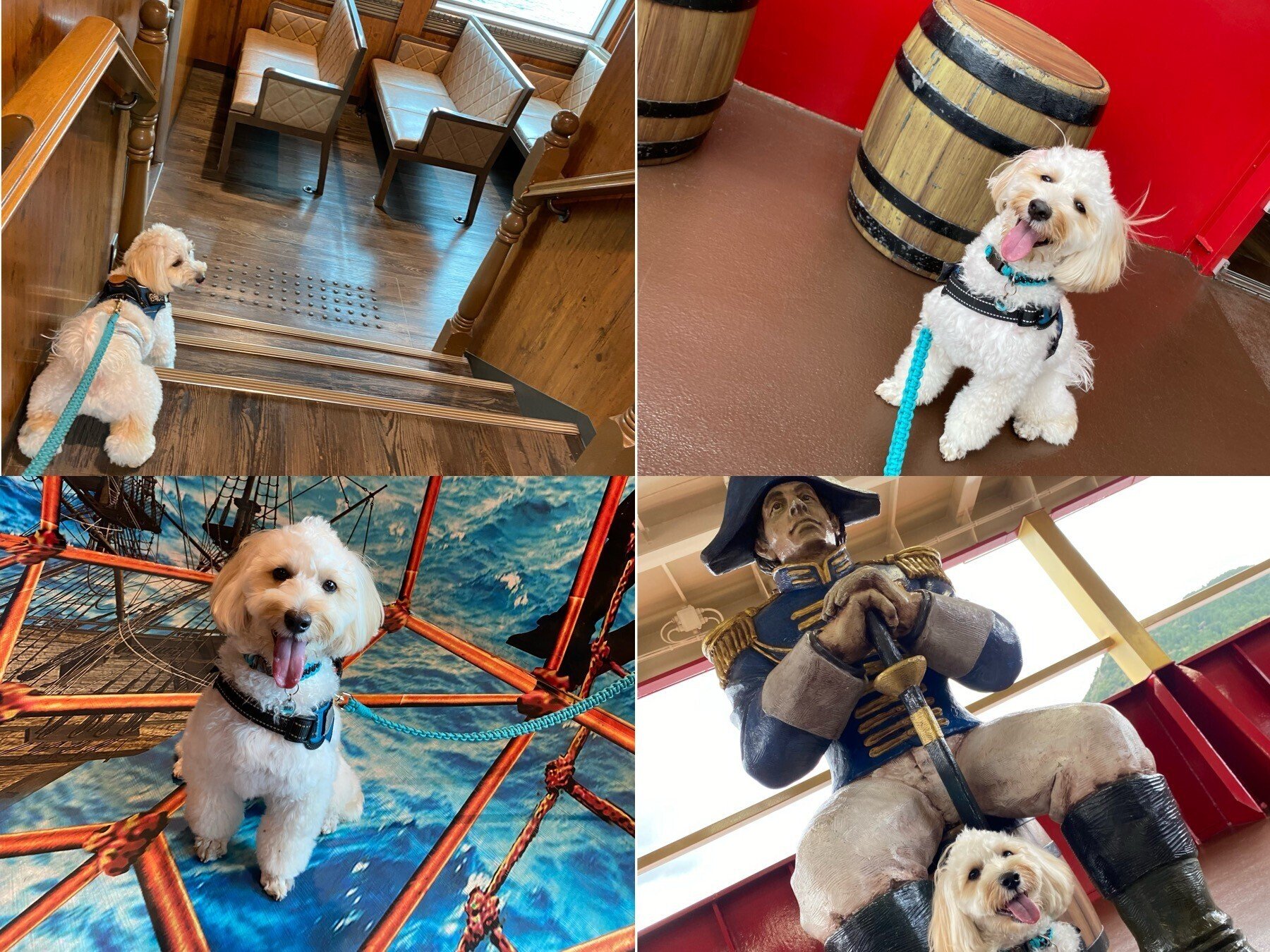 お出かけ】ワンちゃん専用クルーズ「箱根海賊船」に乗ってきた
