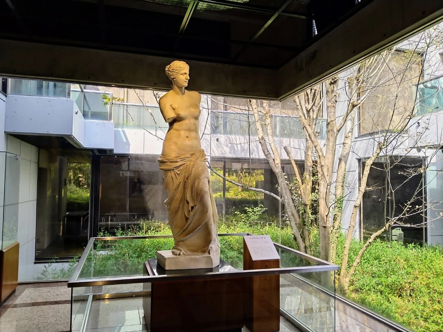 🏛️『ルーブル彫刻美術館』～「ミロのヴィーナス」と「サモトラケの