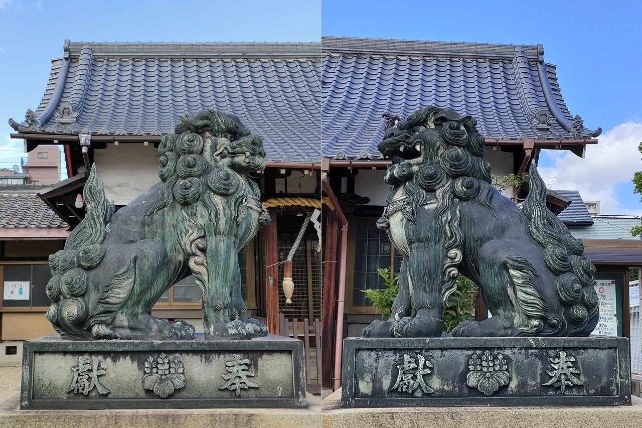 大阪市の神社と狛犬 ⑯天王寺区 ⑥久保神社～完成された姿で端座する青
