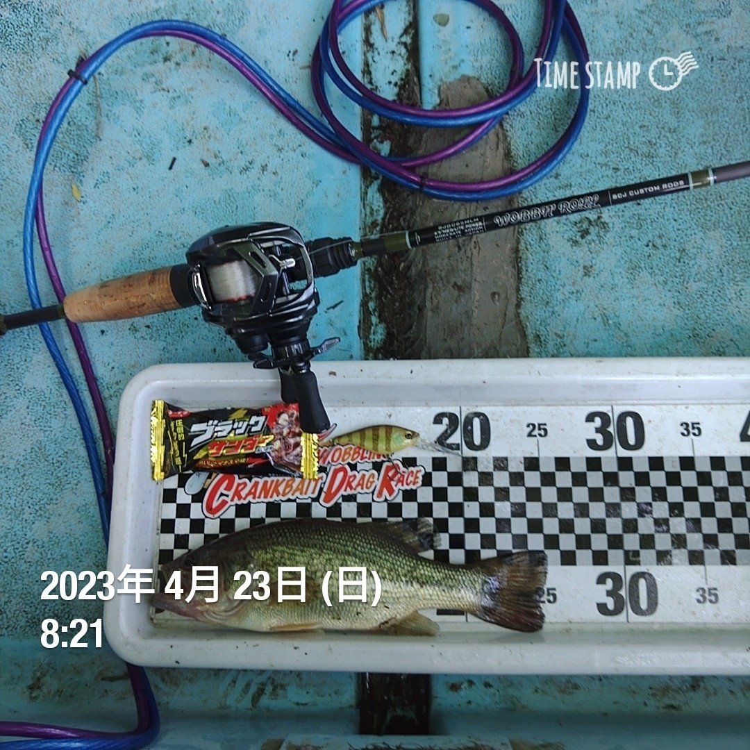 セントクロイ ウォブンロール SJGC 65MLM 161912705_o4.jpg?
