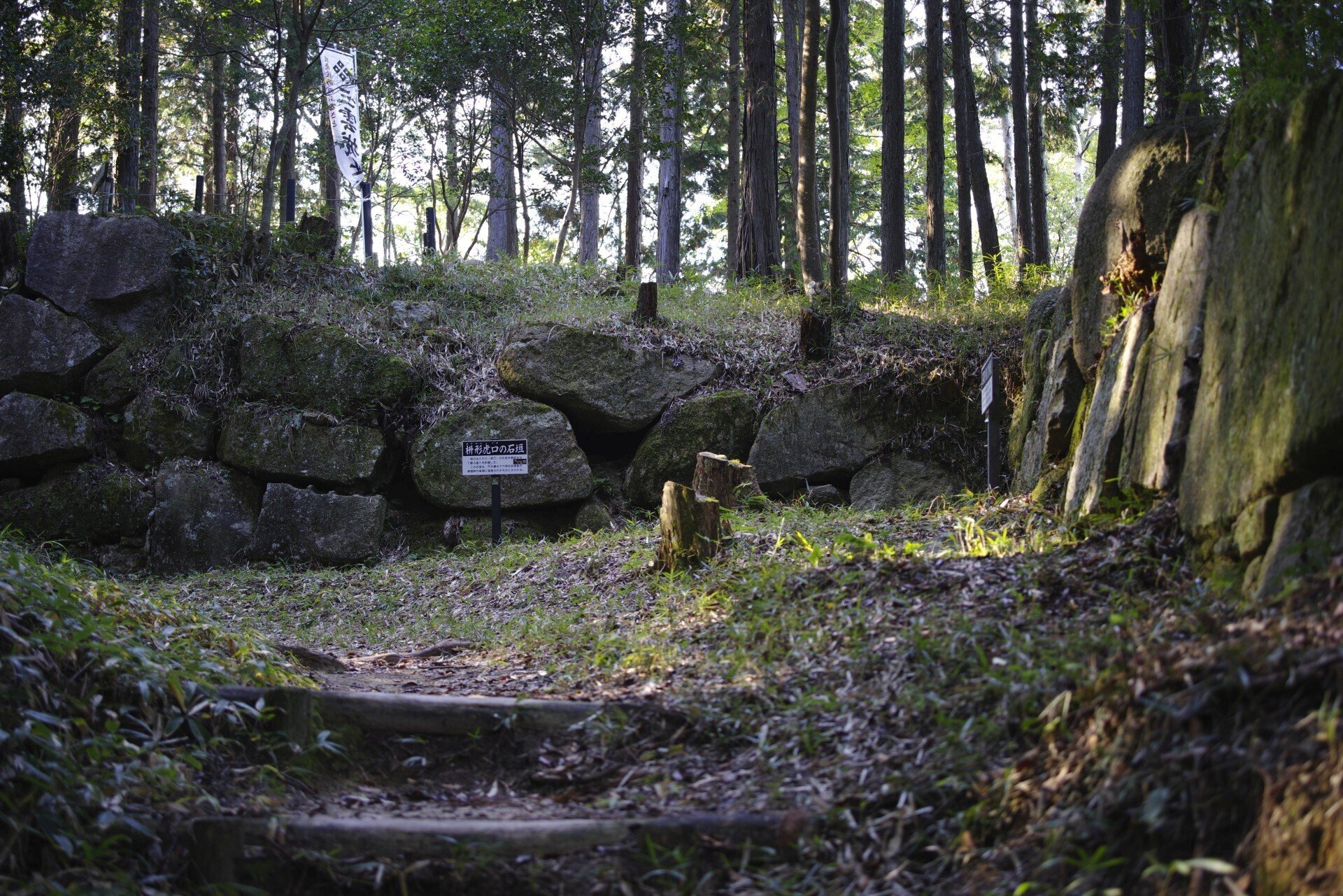 三雲城の穴太衆初期作品 (J limited 01 / smc PENTAX-D FA MACRO
