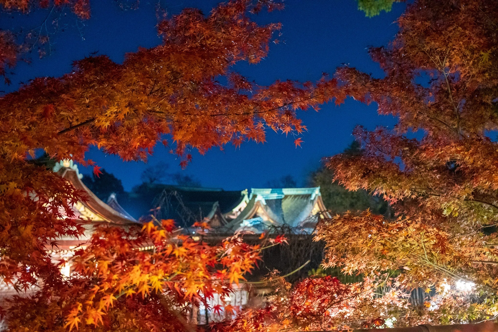 京都の秋といえば 2023 京の奥座敷「紙屋川沿いの紅葉」をまとめ