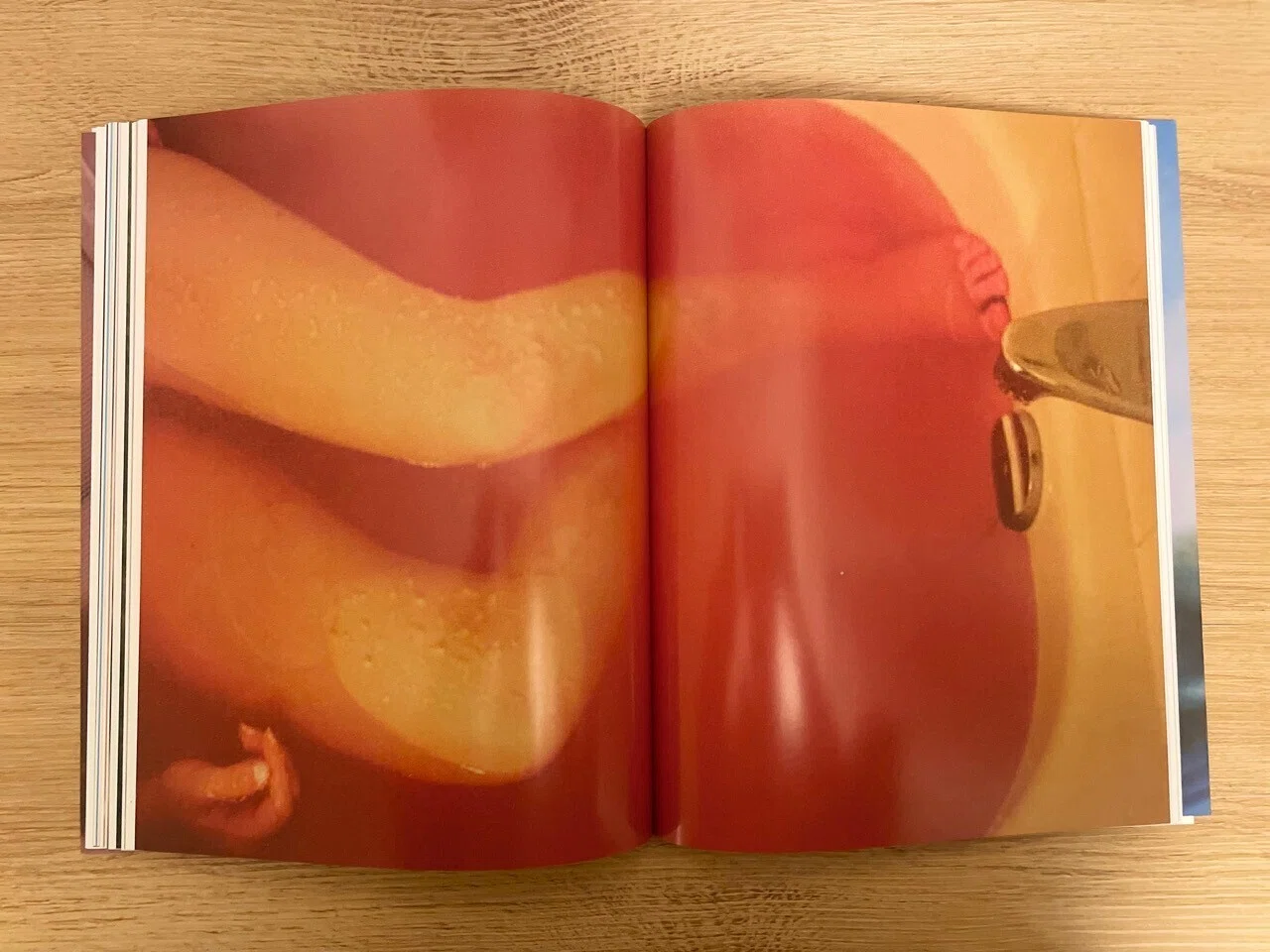 2 鮮やかな美しさ、危険な魅力の中に潜む怒り｜flotsambooks