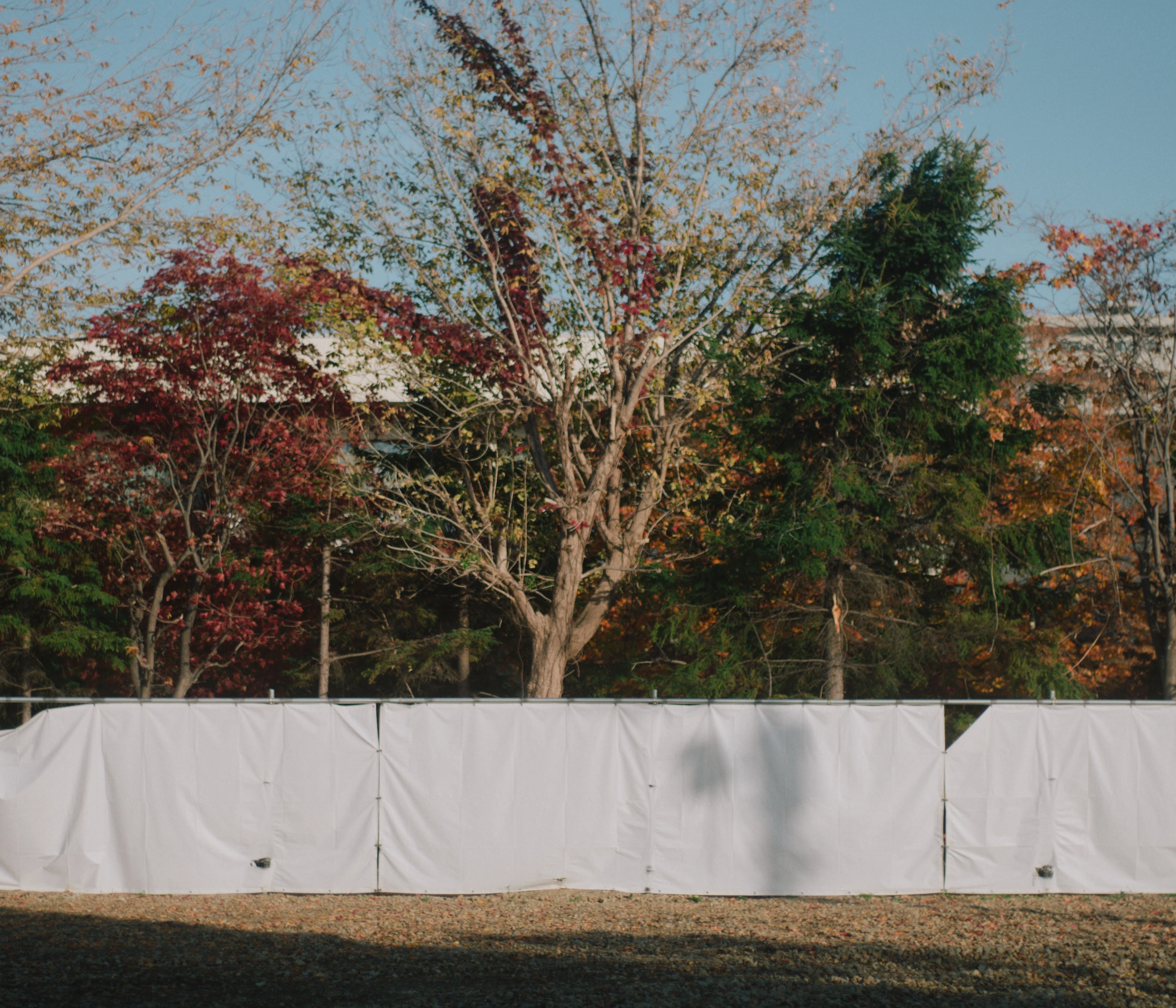 北海道の秋とCONTAX Carl Zeiss Planar 50mm F1.7 | 写真日記 #009