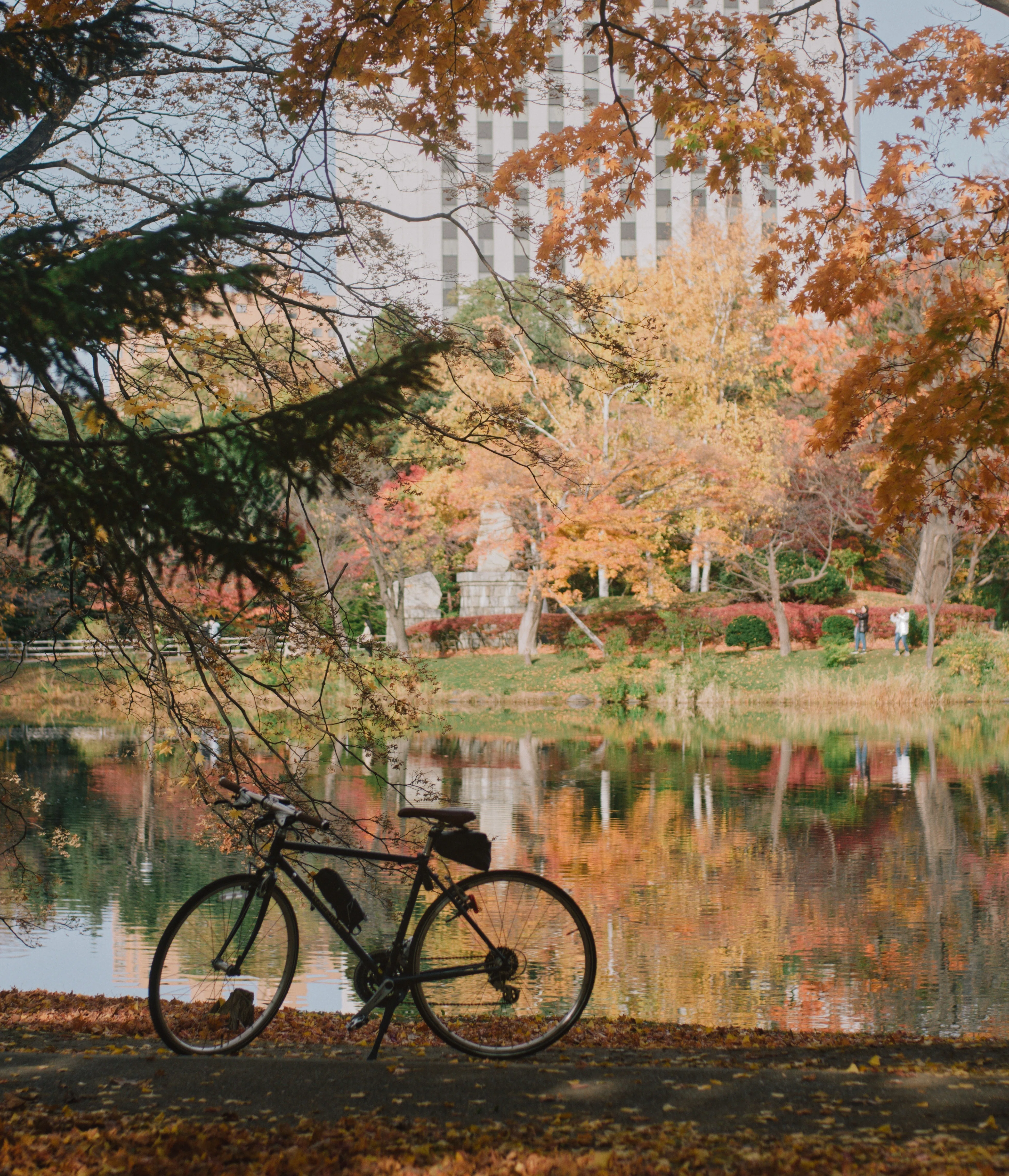 北海道の秋とCONTAX Carl Zeiss Planar 50mm F1.7 | 写真日記 #009