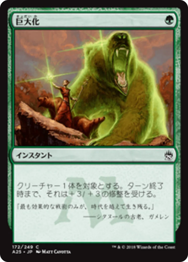 現役プレイヤーに聞く旧枠モダンの魅力と魔力｜エニィ・ターゲット