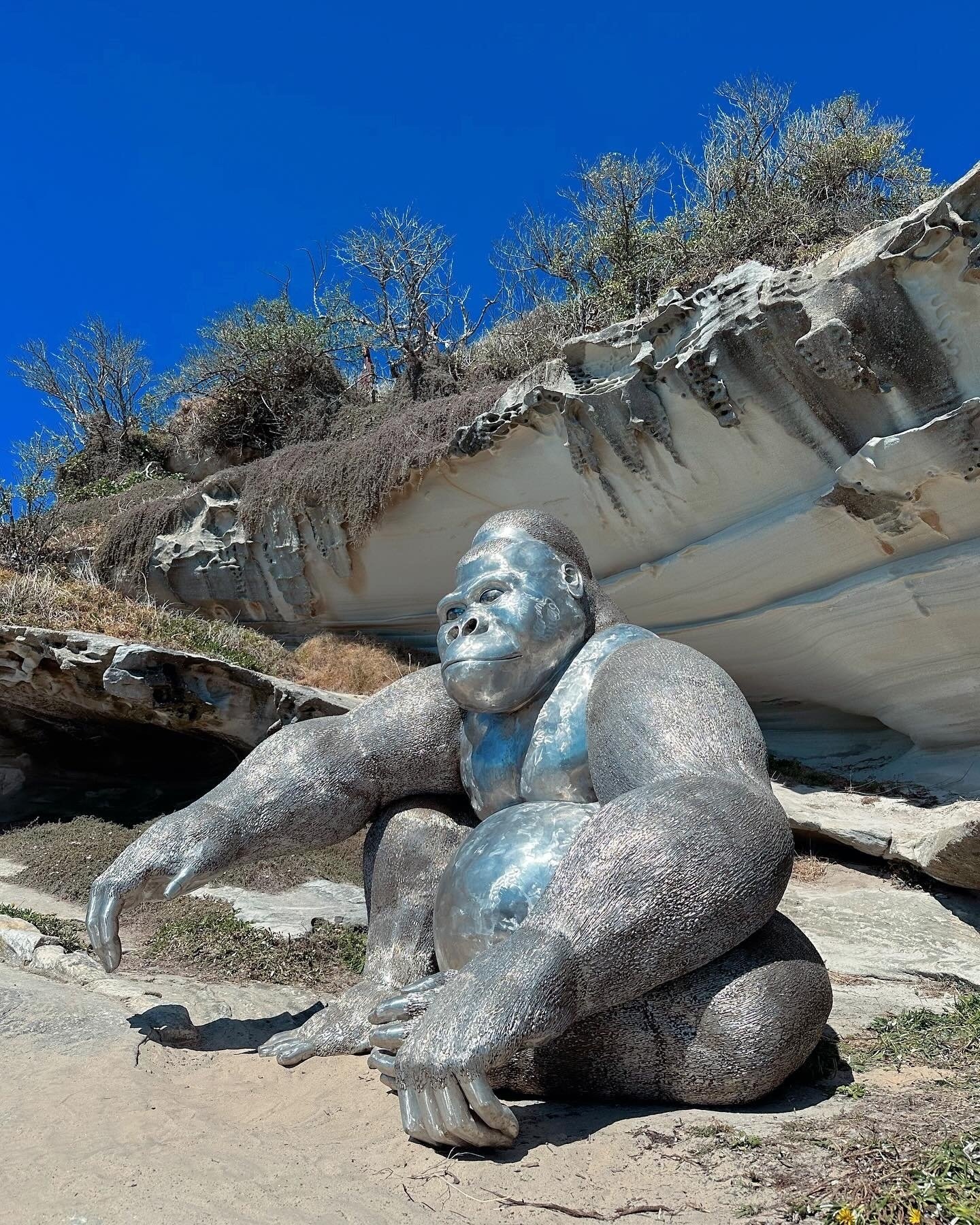 Sculpture by the Sea, Bondi | オーストラリア｜MISHIMA Kota