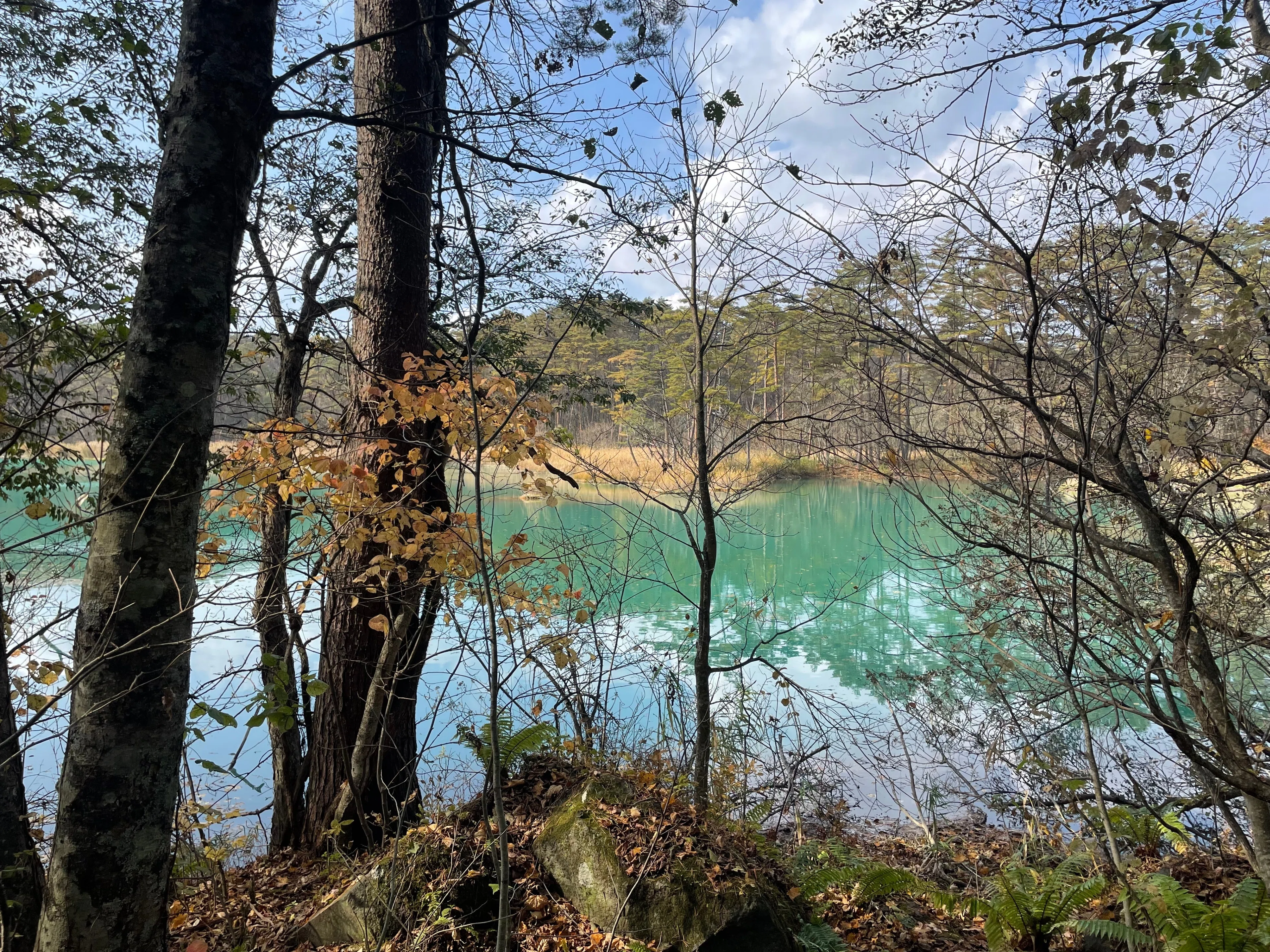 水面も木々も色づいた、福島・裏磐梯の五色沼を歩いてきました｜かわかわ