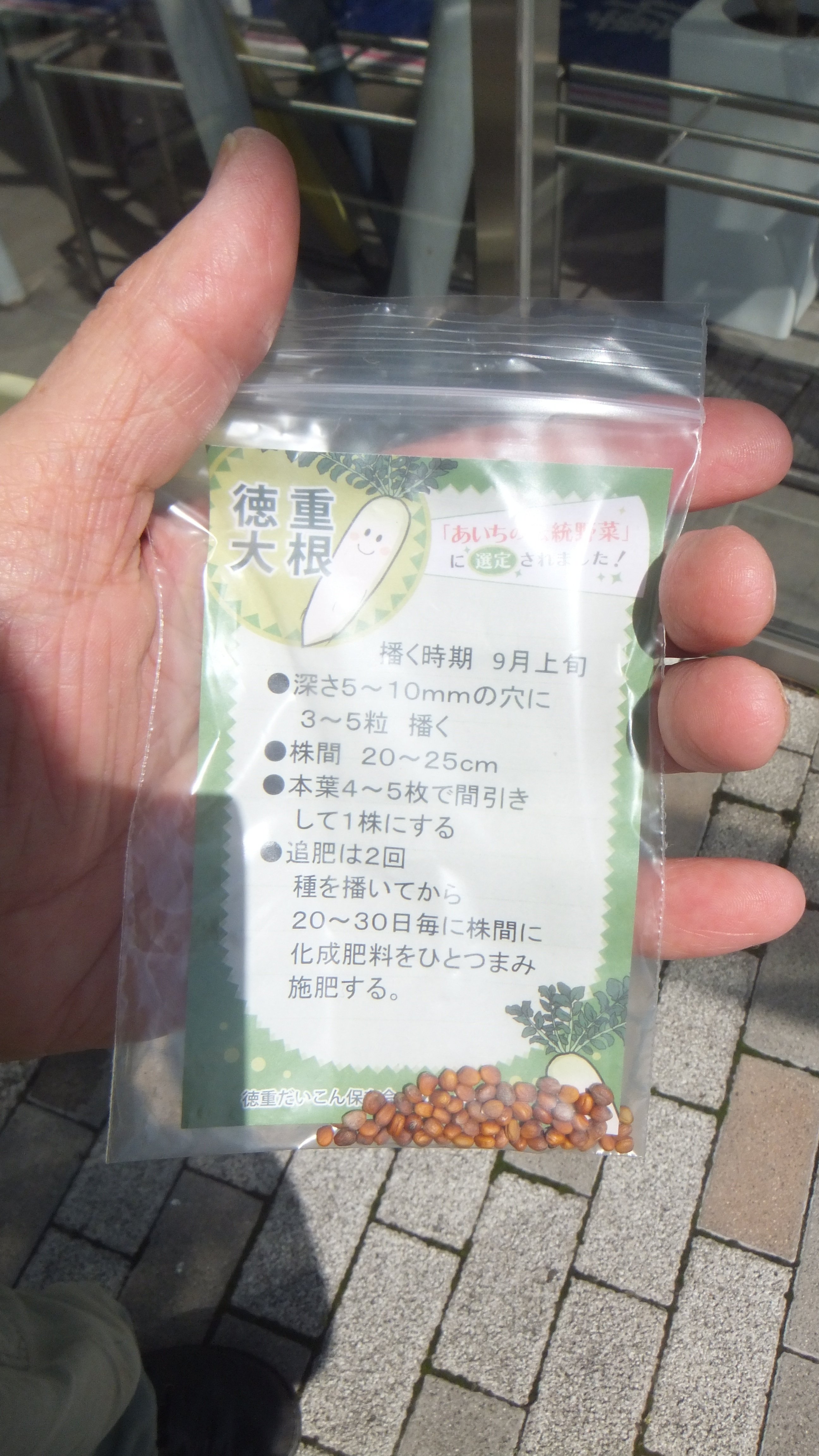 徳重支所で「徳重だいこん」栽培に挑戦してみた！（前編）｜名古屋市