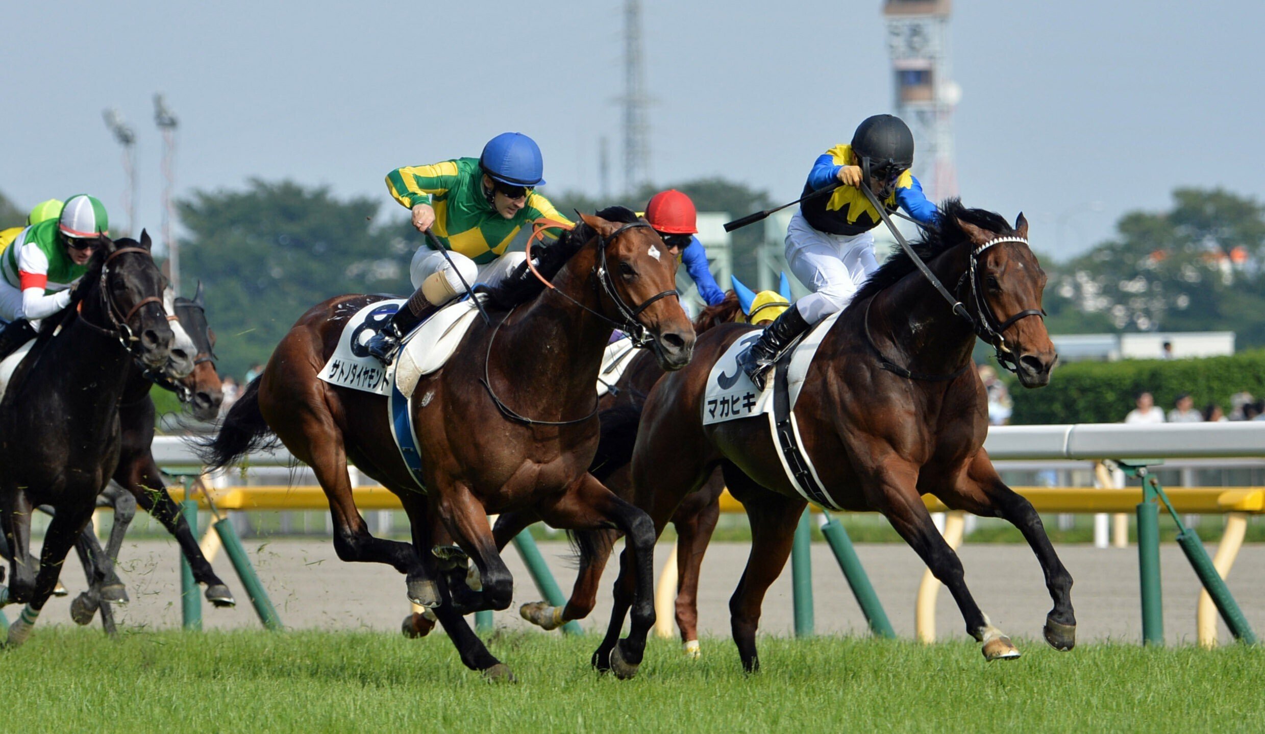 サトノダイヤモンド 新馬戦から2017天皇賞・春まで国内全１０戦現地単勝馬券 G1復刻】サトノ悲願の初G1！ダイヤモンドがラスト1冠制す